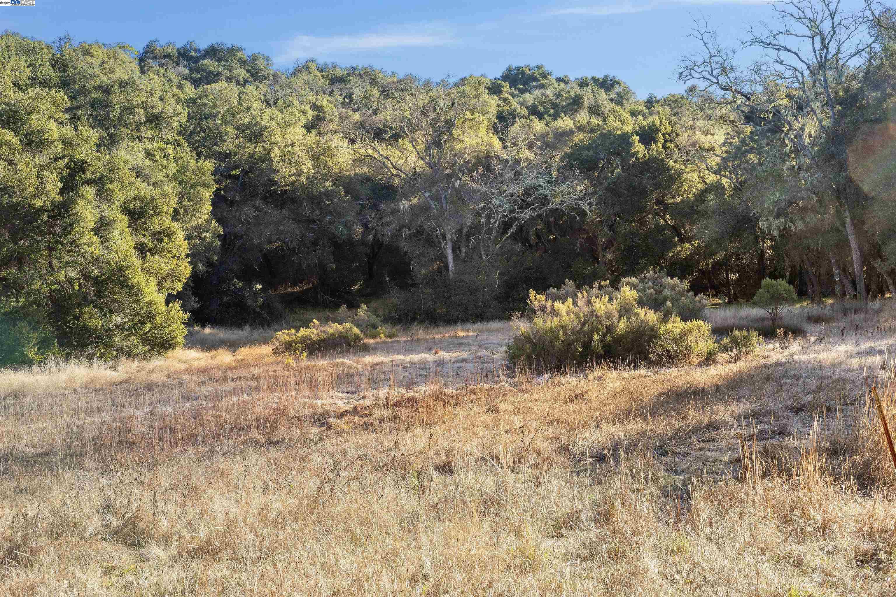 Detail Gallery Image 9 of 25 For 11 Arroyo Sequoia, Carmel,  CA 93923 - – Beds | – Baths