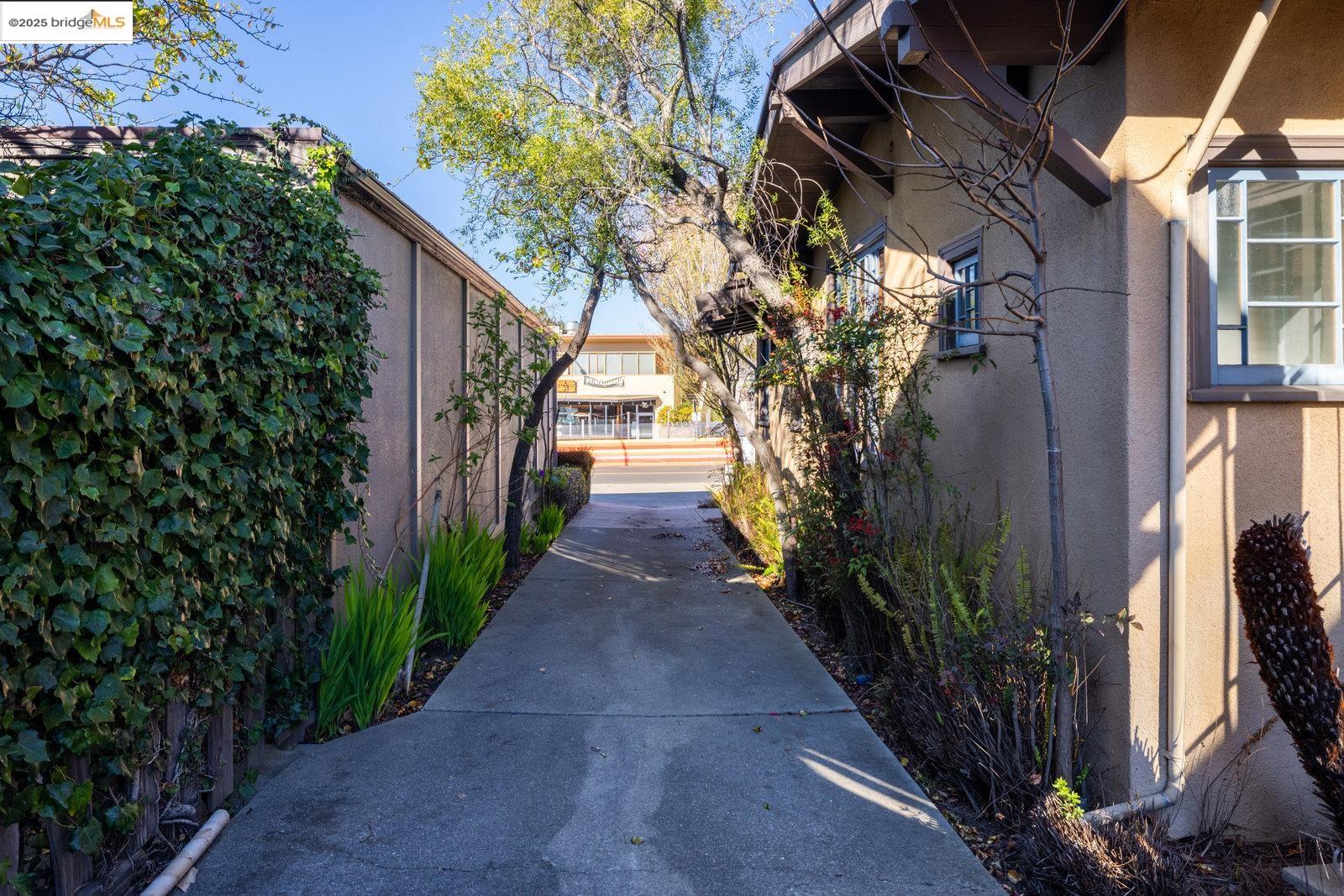 Detail Gallery Image 15 of 26 For 1714 Solano Ave, Berkeley,  CA 94707 - – Beds | – Baths