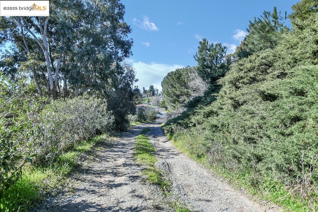 Detail Gallery Image 18 of 22 For 4058 Treat Boulevard, Concord,  CA 94518-1842 - – Beds | – Baths