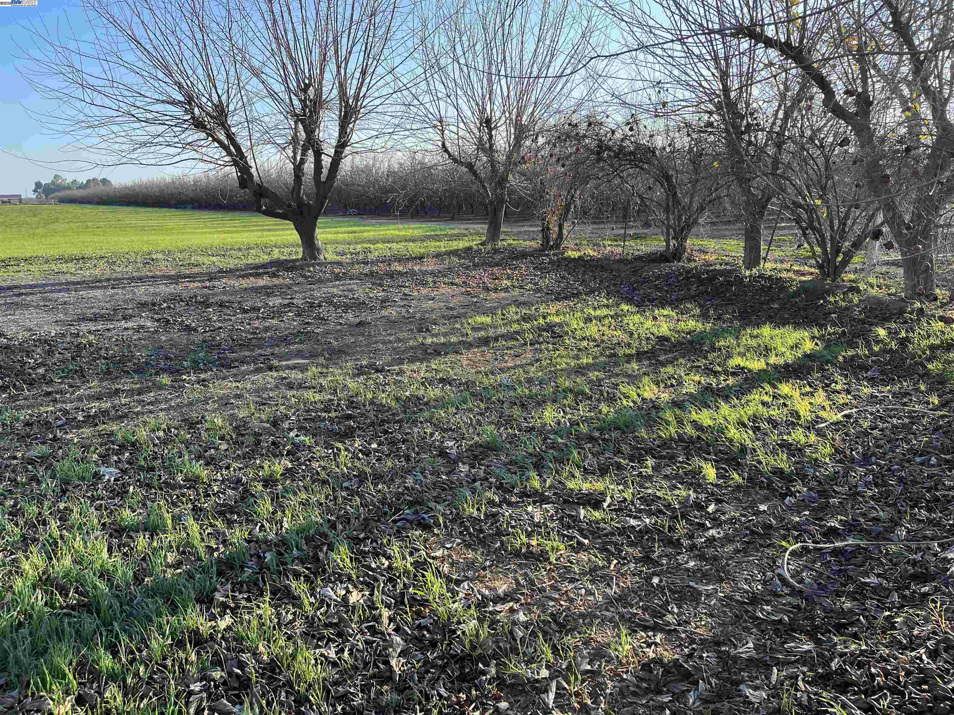 Detail Gallery Image 15 of 36 For 1290 Orange Ave, Patterson,  CA 95363 - 3 Beds | 2 Baths