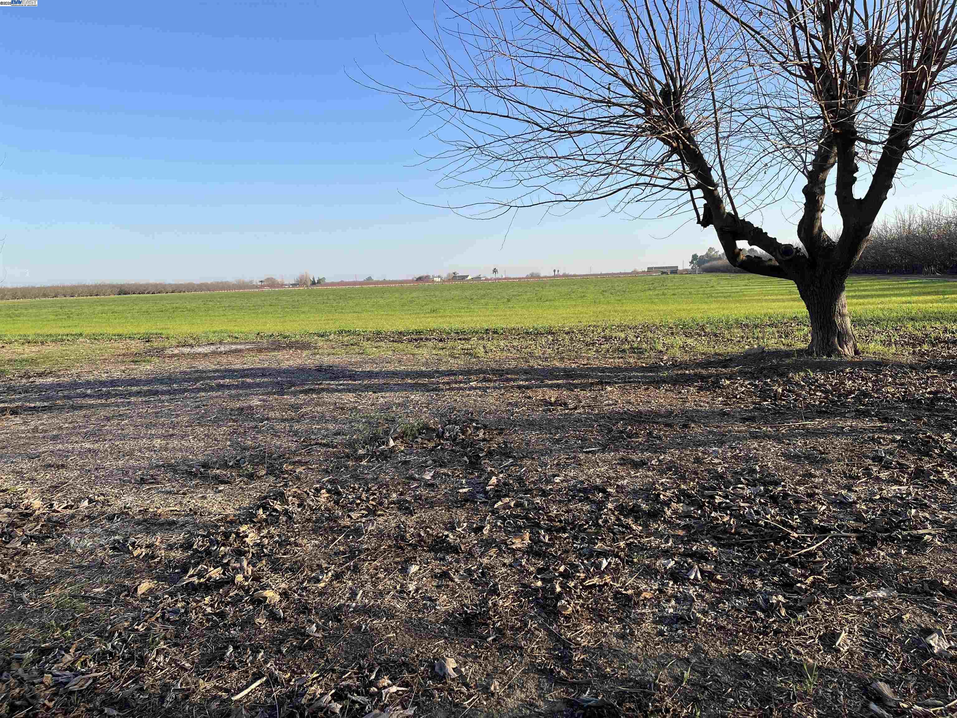 Detail Gallery Image 16 of 37 For 1290 Orange Ave, Patterson,  CA 95363 - 3 Beds | 2 Baths