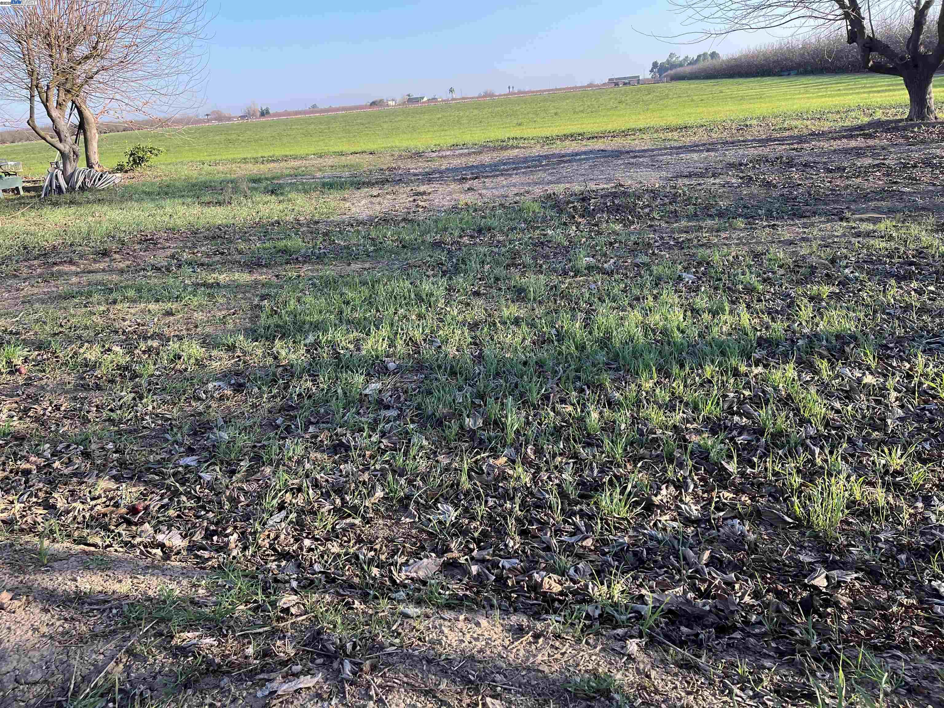 Detail Gallery Image 17 of 36 For 1290 Orange Ave, Patterson,  CA 95363 - 3 Beds | 2 Baths