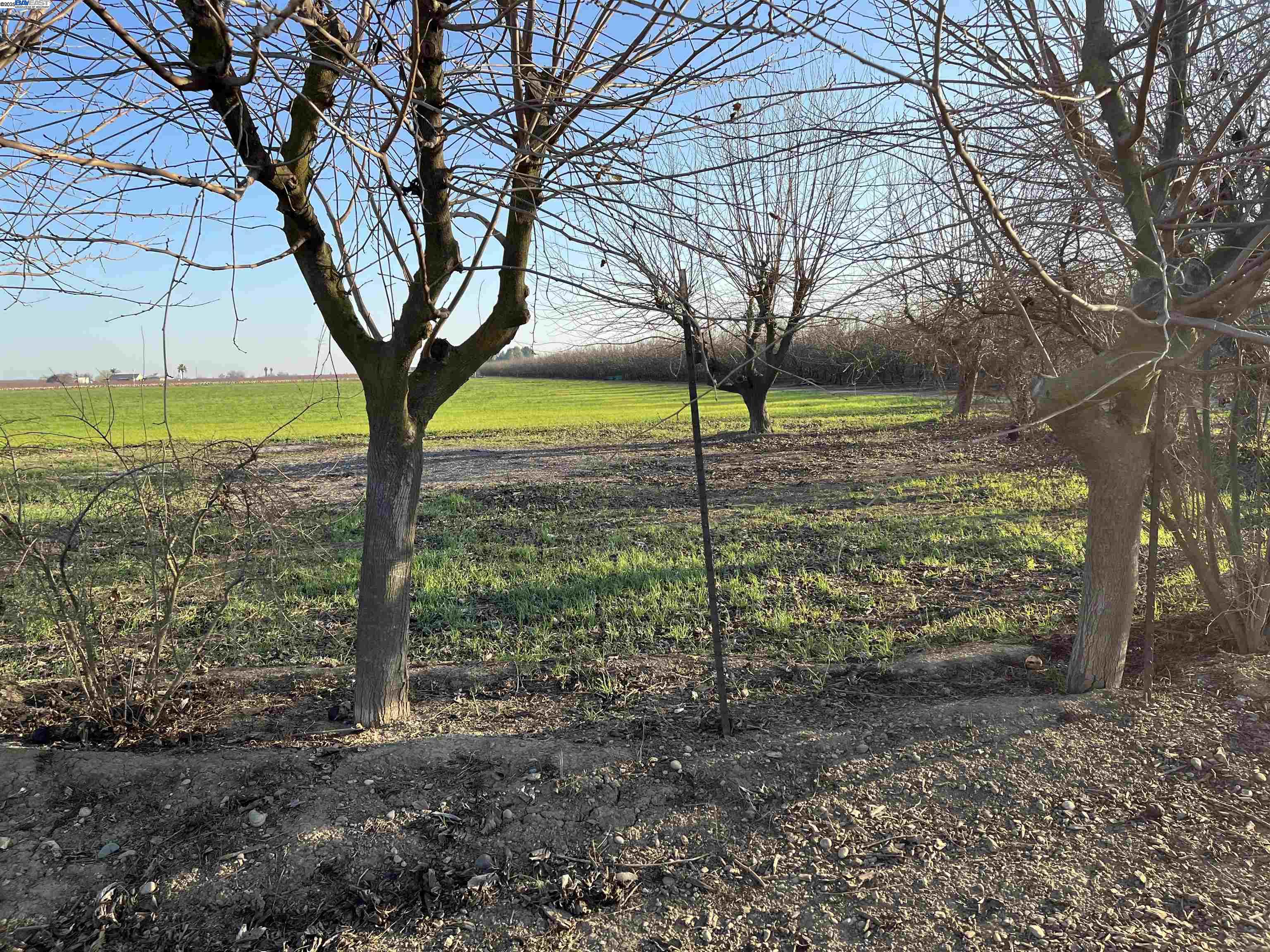 Detail Gallery Image 17 of 37 For 1290 Orange Ave, Patterson,  CA 95363 - 3 Beds | 2 Baths