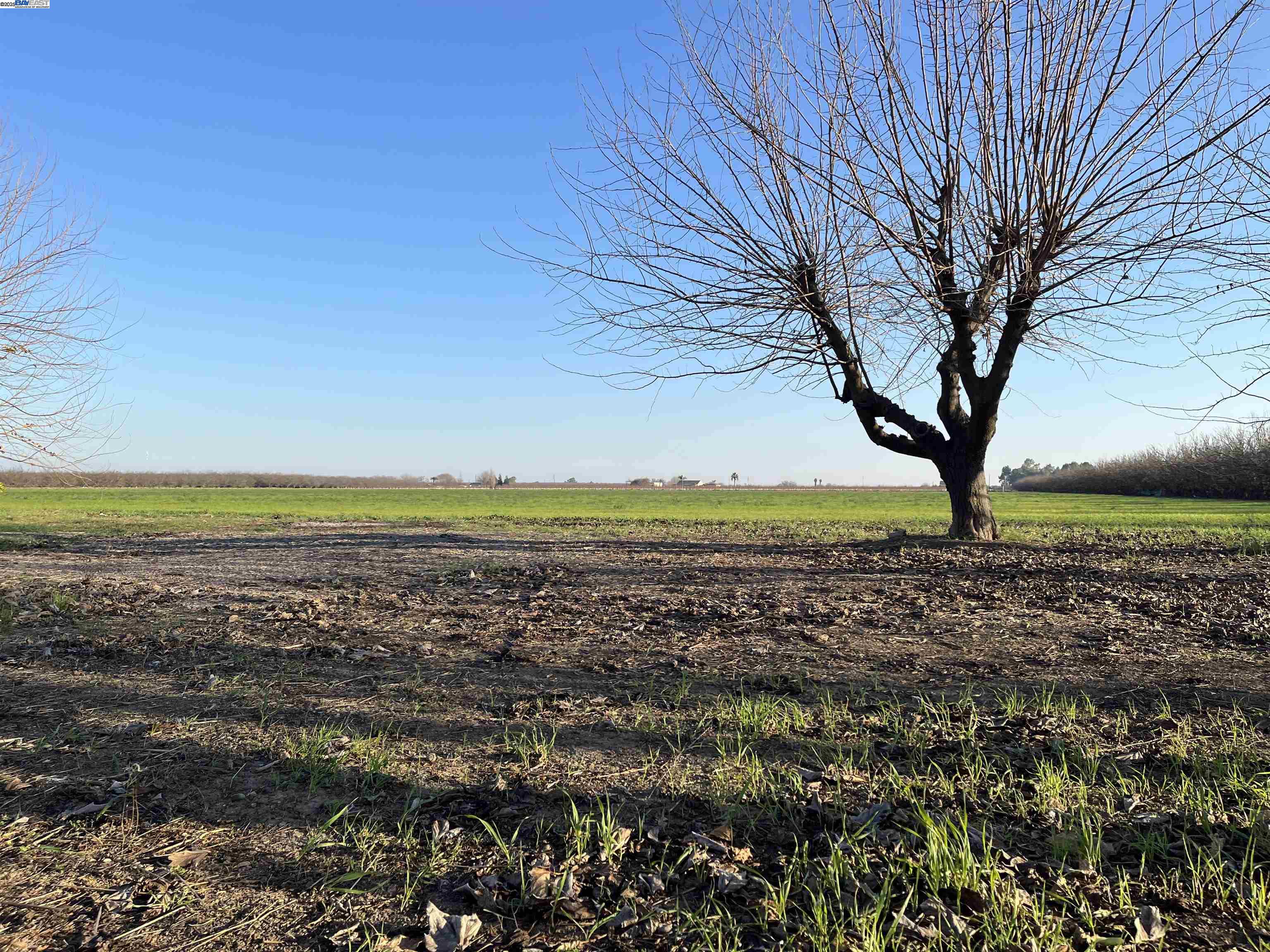 Detail Gallery Image 19 of 36 For 1290 Orange Ave, Patterson,  CA 95363 - 3 Beds | 2 Baths