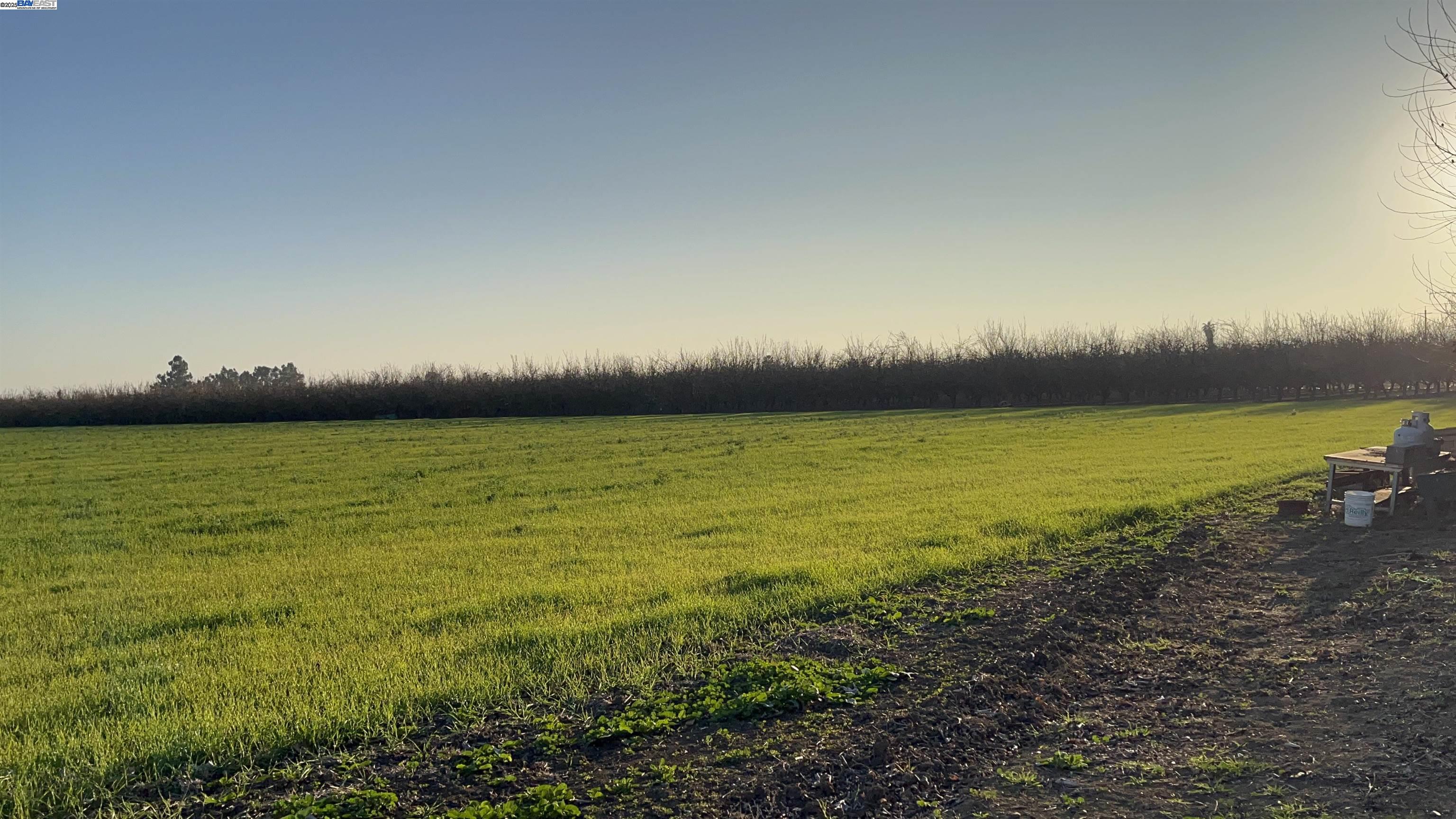 Detail Gallery Image 30 of 37 For 1290 Orange Ave, Patterson,  CA 95363 - 3 Beds | 2 Baths