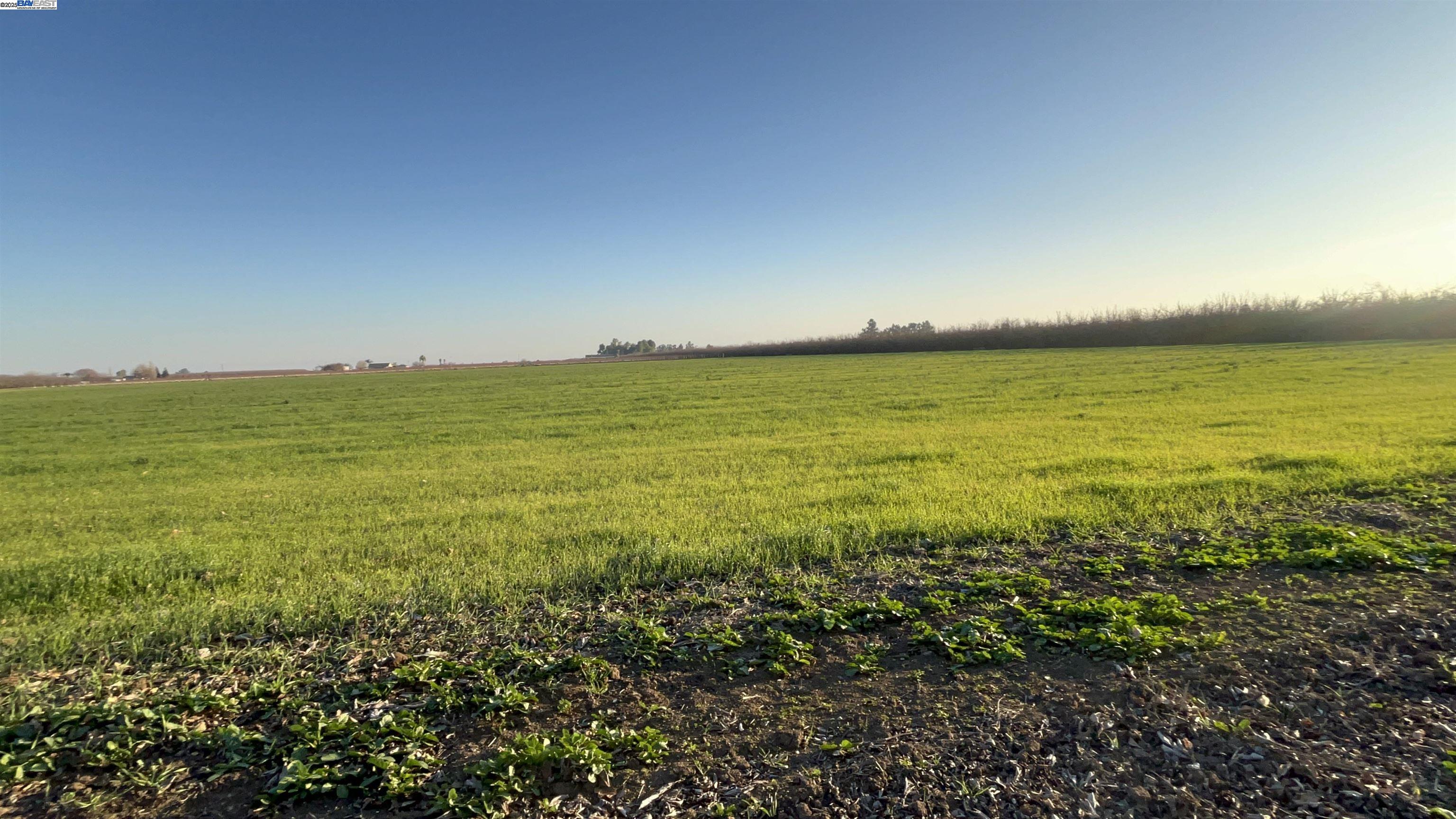 Detail Gallery Image 31 of 36 For 1290 Orange Ave, Patterson,  CA 95363 - 3 Beds | 2 Baths