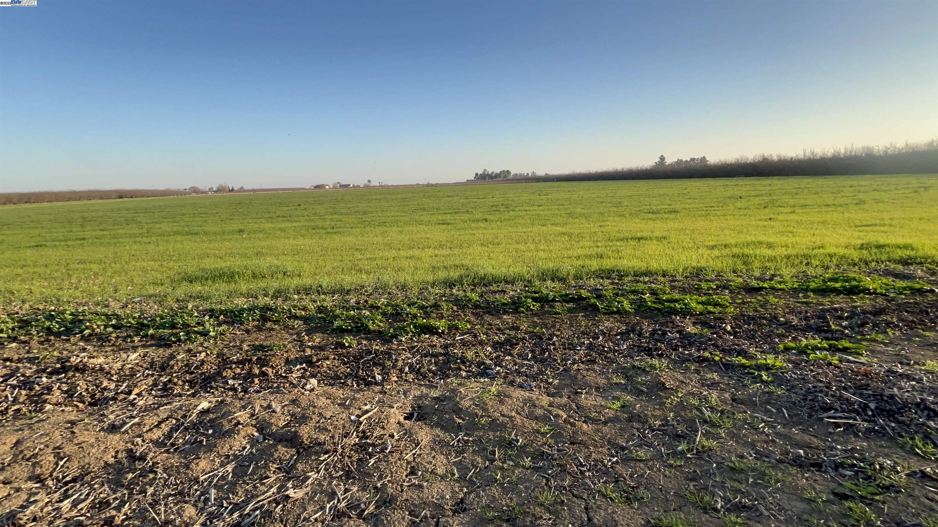 Detail Gallery Image 31 of 37 For 1290 Orange Ave, Patterson,  CA 95363 - 3 Beds | 2 Baths