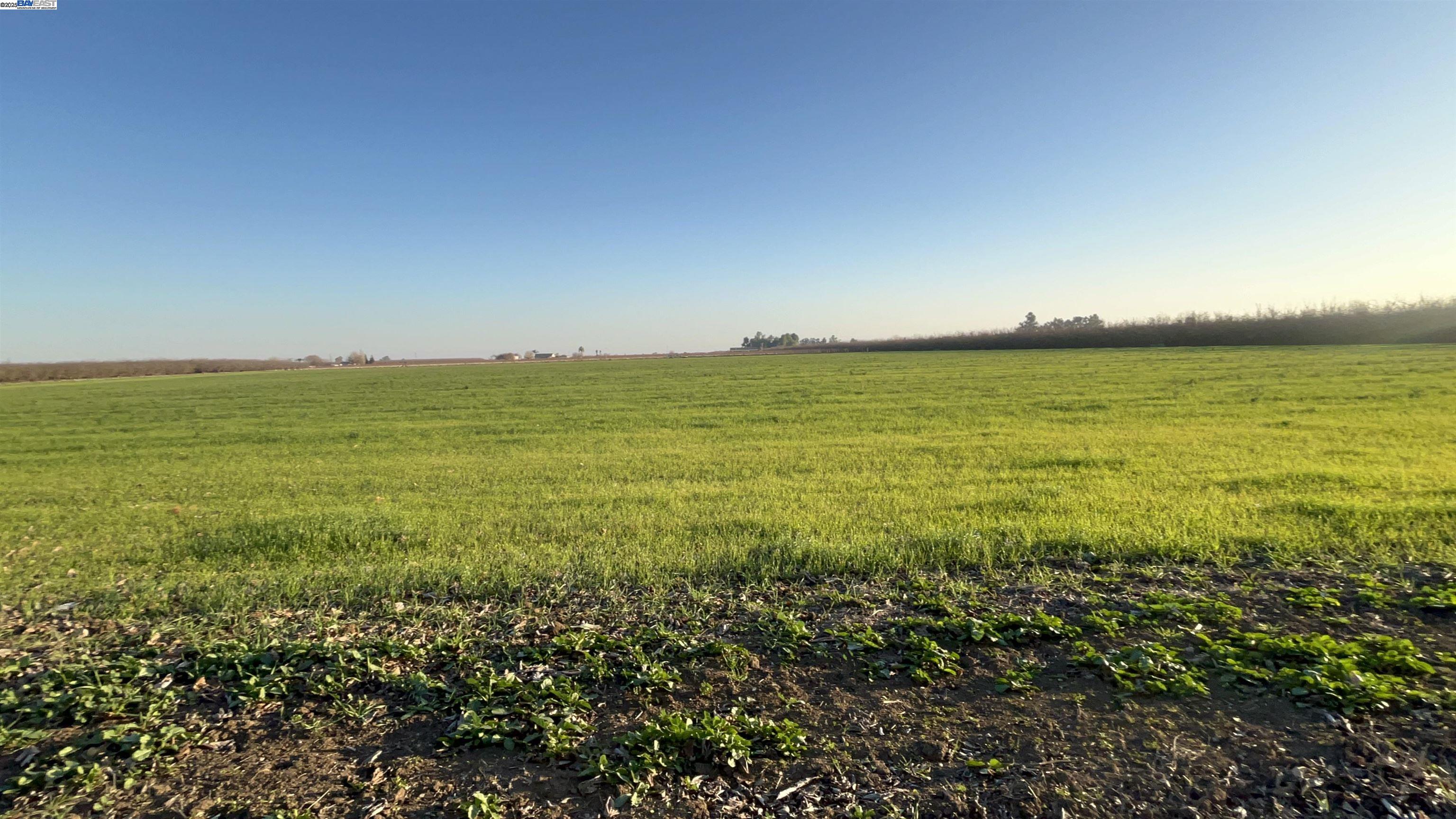 Detail Gallery Image 33 of 37 For 1290 Orange Ave, Patterson,  CA 95363 - 3 Beds | 2 Baths