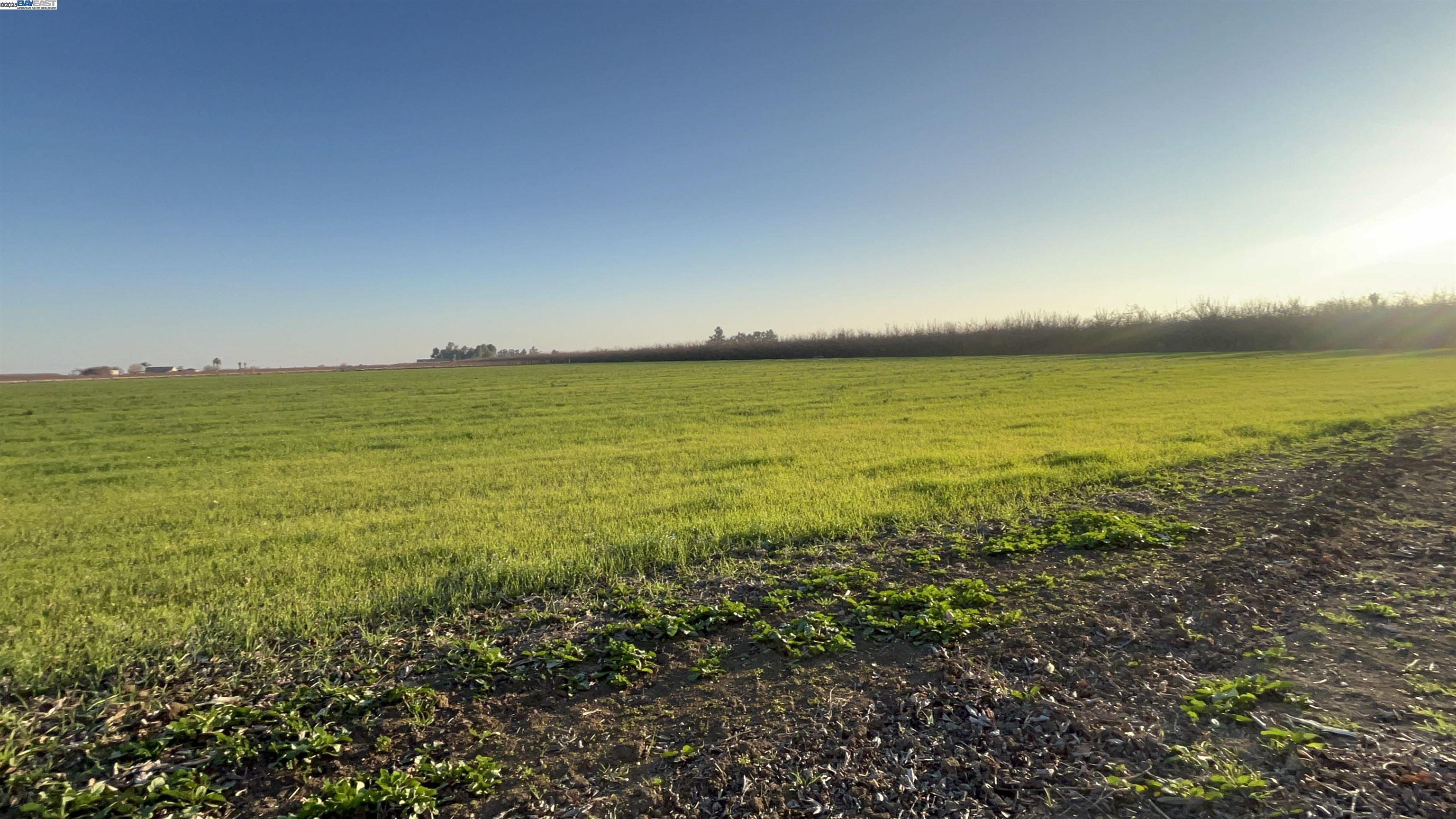 Detail Gallery Image 35 of 36 For 1290 Orange Ave, Patterson,  CA 95363 - 3 Beds | 2 Baths