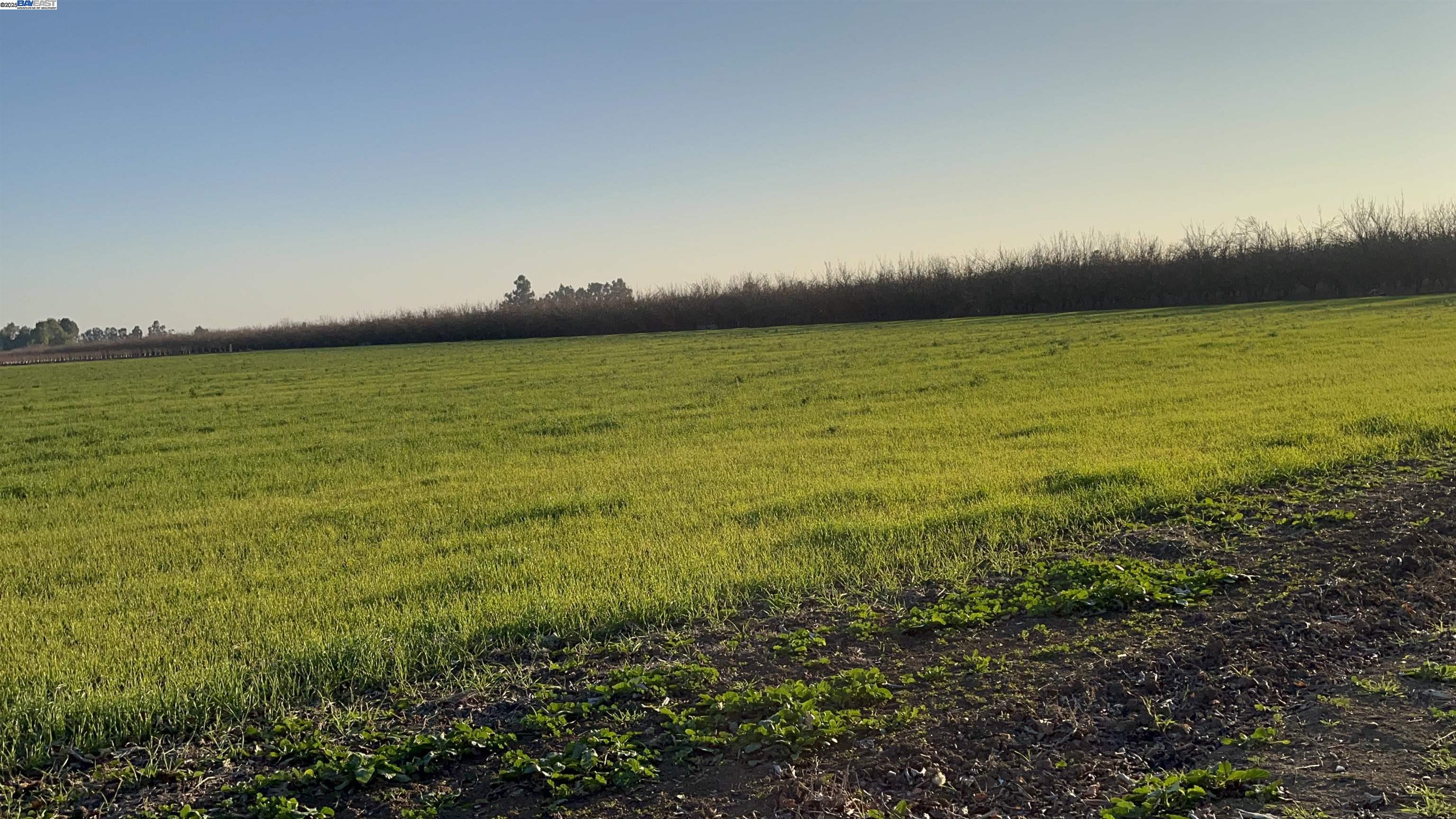 Detail Gallery Image 36 of 36 For 1290 Orange Ave, Patterson,  CA 95363 - 3 Beds | 2 Baths