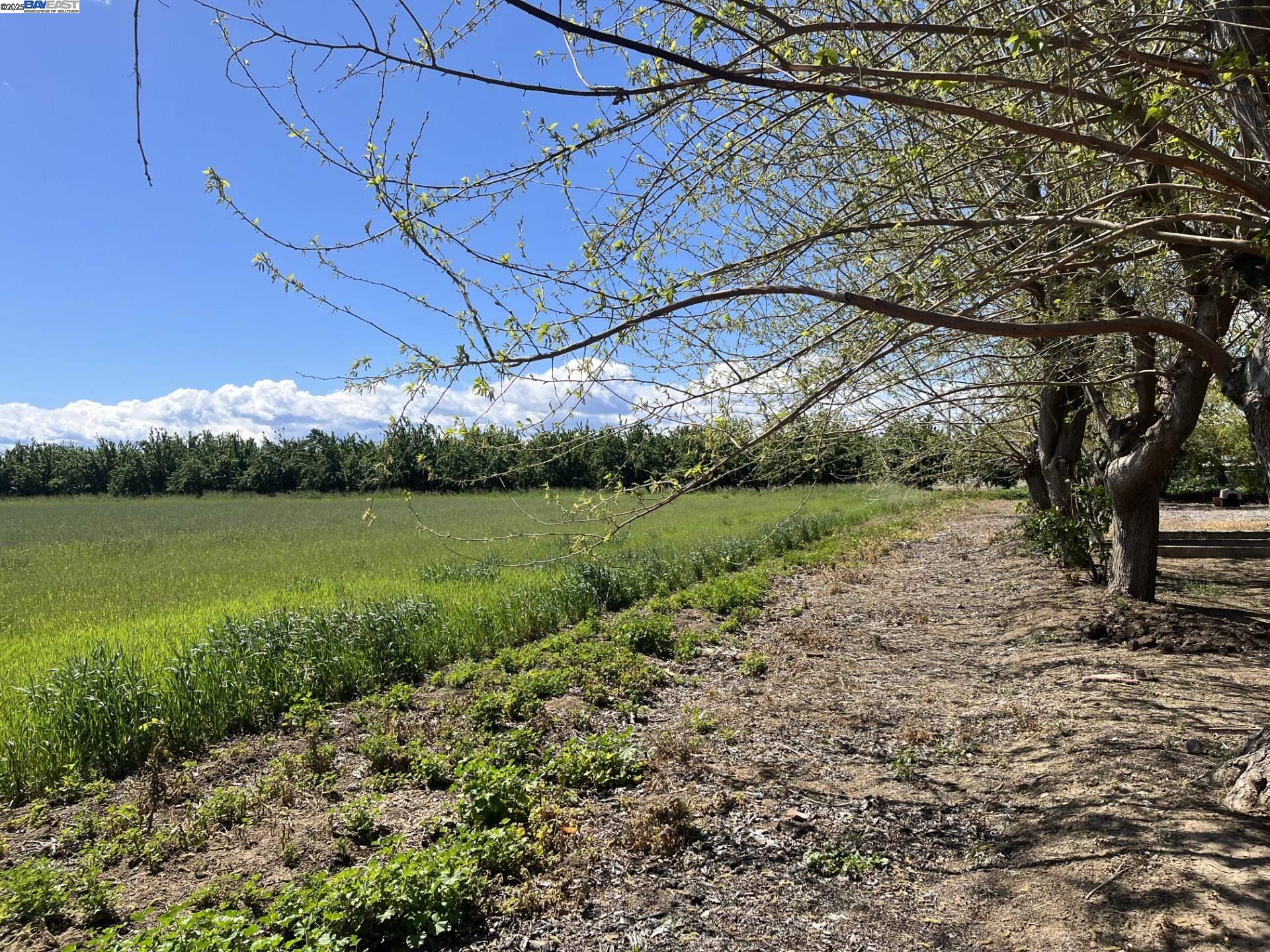 Detail Gallery Image 9 of 36 For 1290 Orange Ave, Patterson,  CA 95363 - 3 Beds | 2 Baths