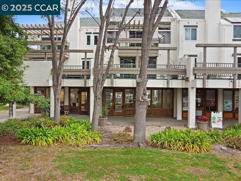 Front Image Thumbnail for CC41083791