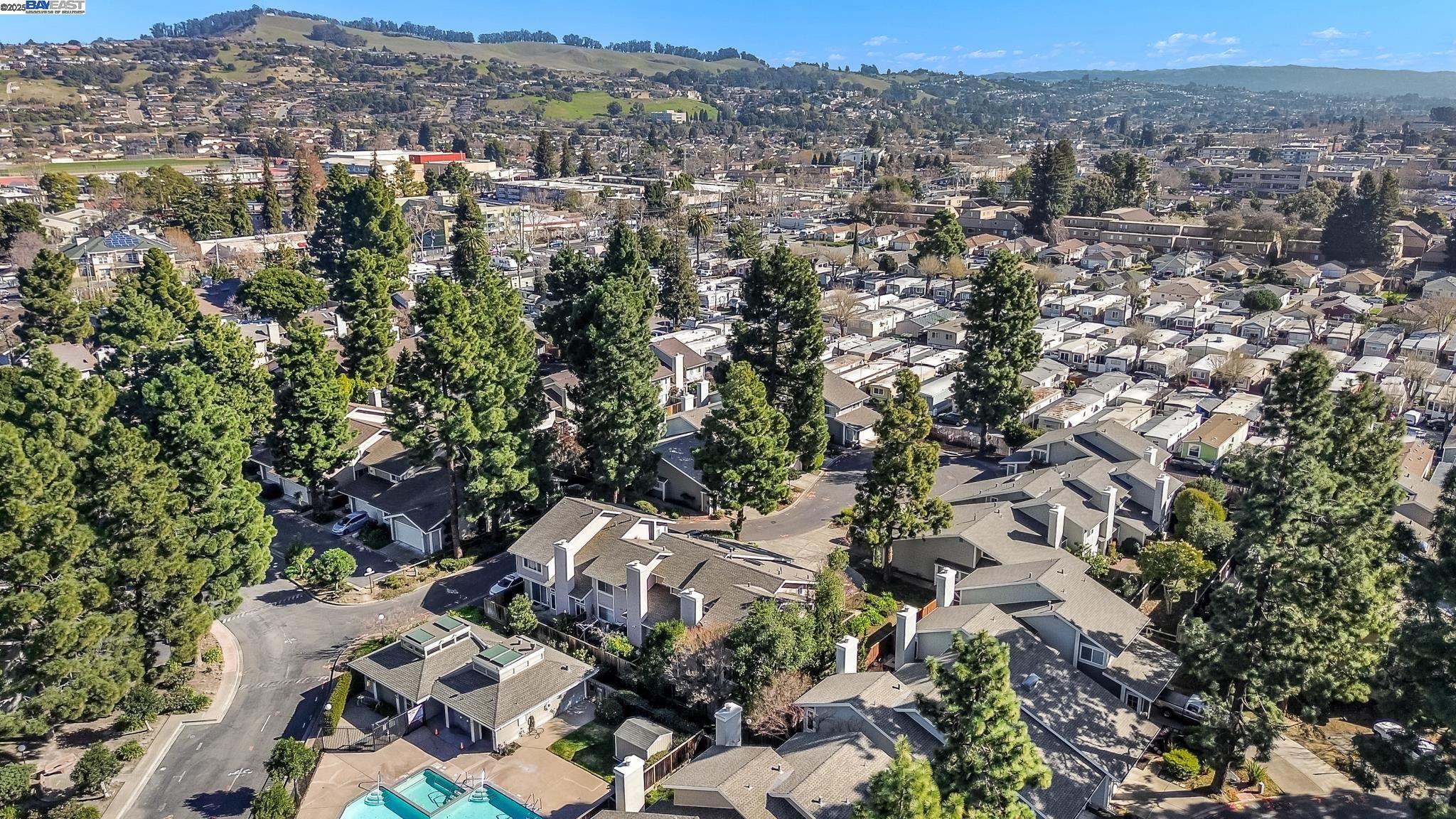 Photo #3: 41083847 Listing 