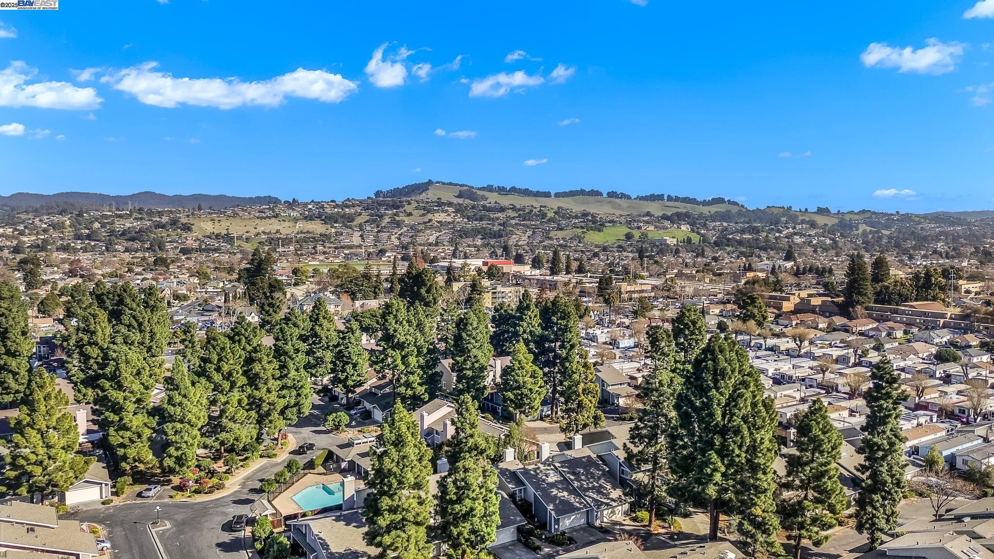 Photo #4: 41083847 Listing 