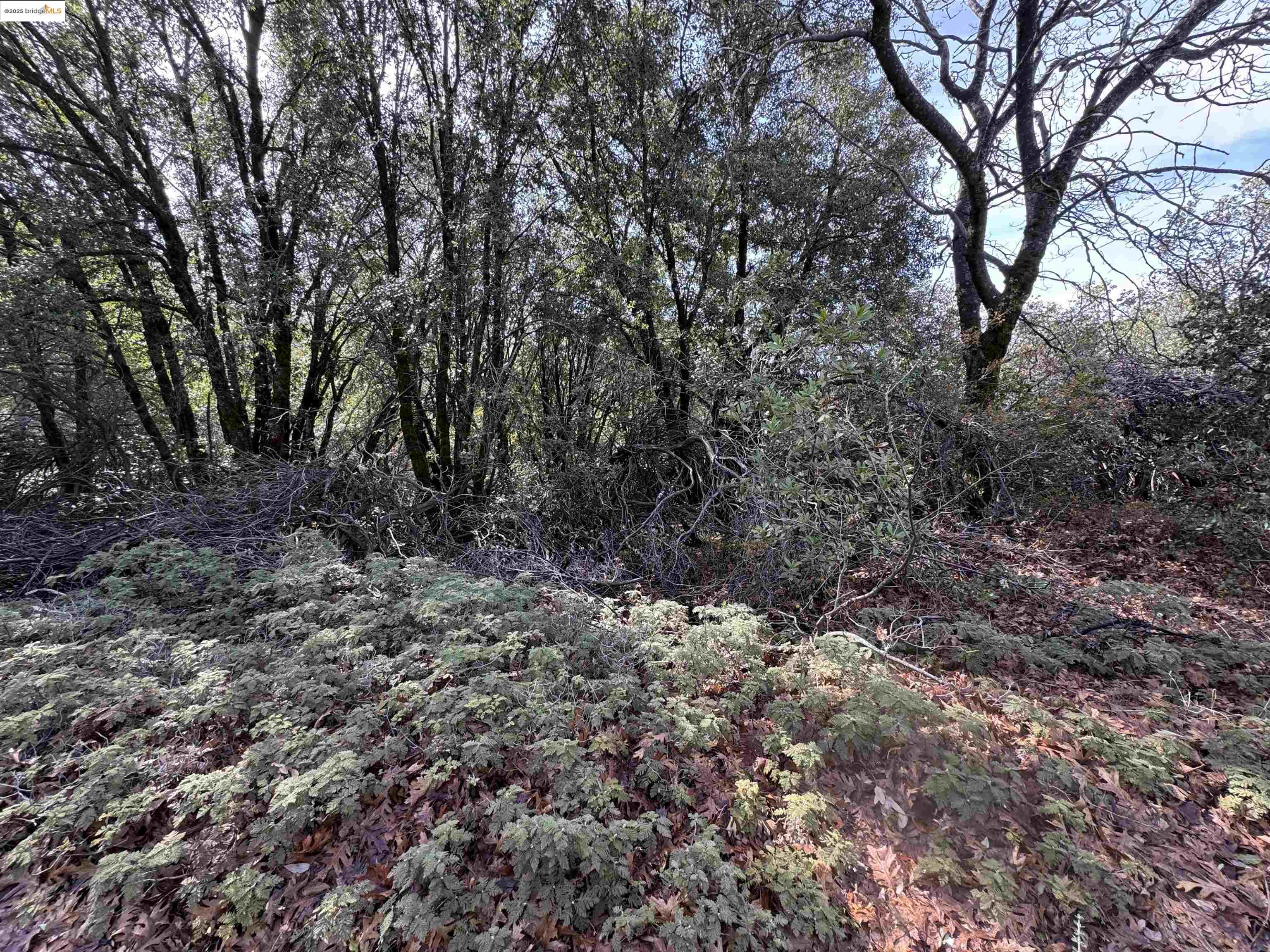 Detail Gallery Image 12 of 13 For 25555 Grant Ridge Rd, Columbia,  CA 95310 - – Beds | – Baths