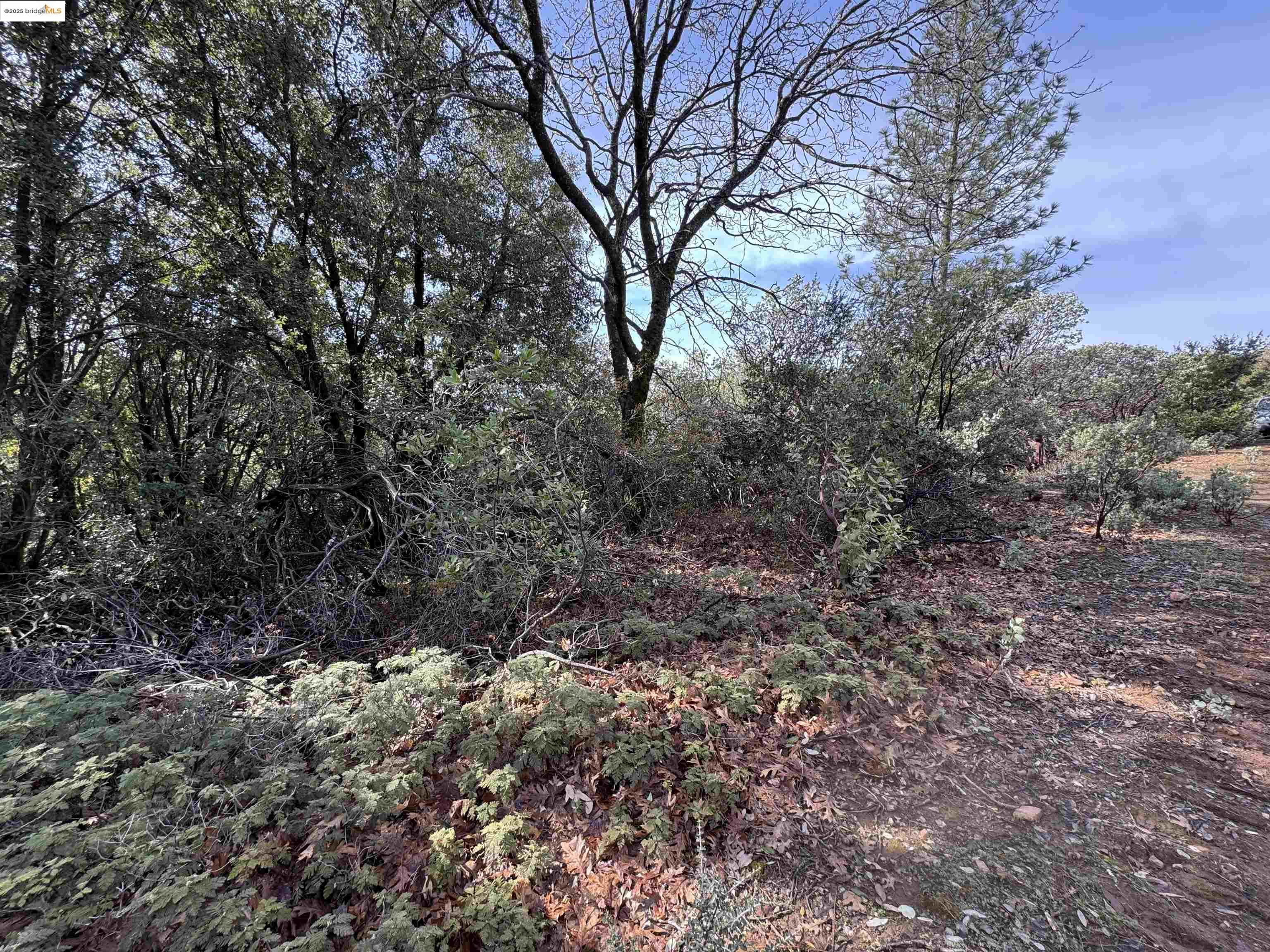 Detail Gallery Image 10 of 13 For 25555 Grant Ridge Rd, Columbia,  CA 95310 - – Beds | – Baths