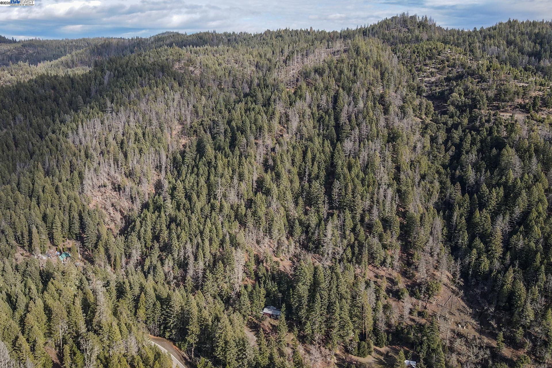 Detail Gallery Image 4 of 49 For 540 Lost Bridge Rd, Lewiston,  CA 96052 - 2 Beds | 2 Baths