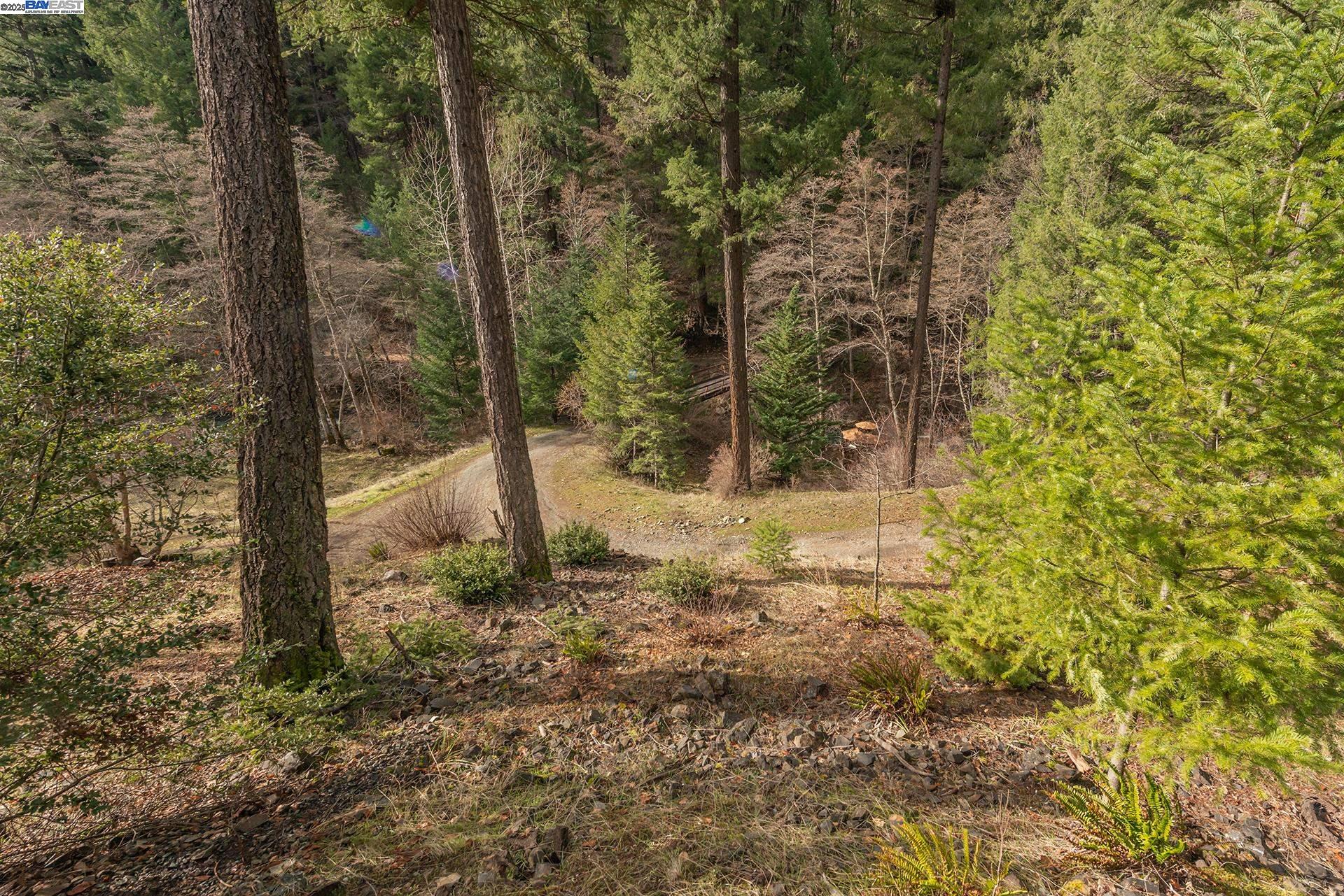 Detail Gallery Image 32 of 49 For 540 Lost Bridge Rd, Lewiston,  CA 96052 - 2 Beds | 2 Baths