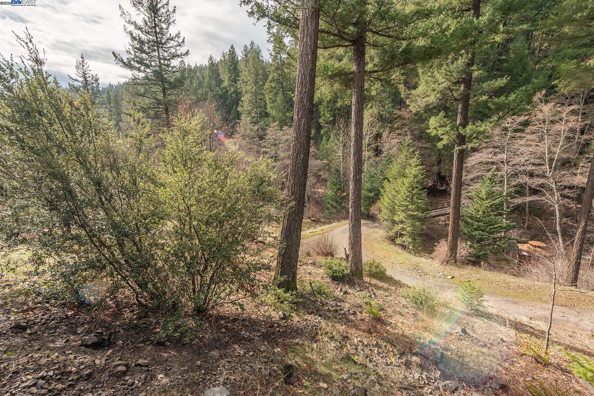 Detail Gallery Image 32 of 49 For 540 Lost Bridge Rd, Lewiston,  CA 96052 - 2 Beds | 2 Baths