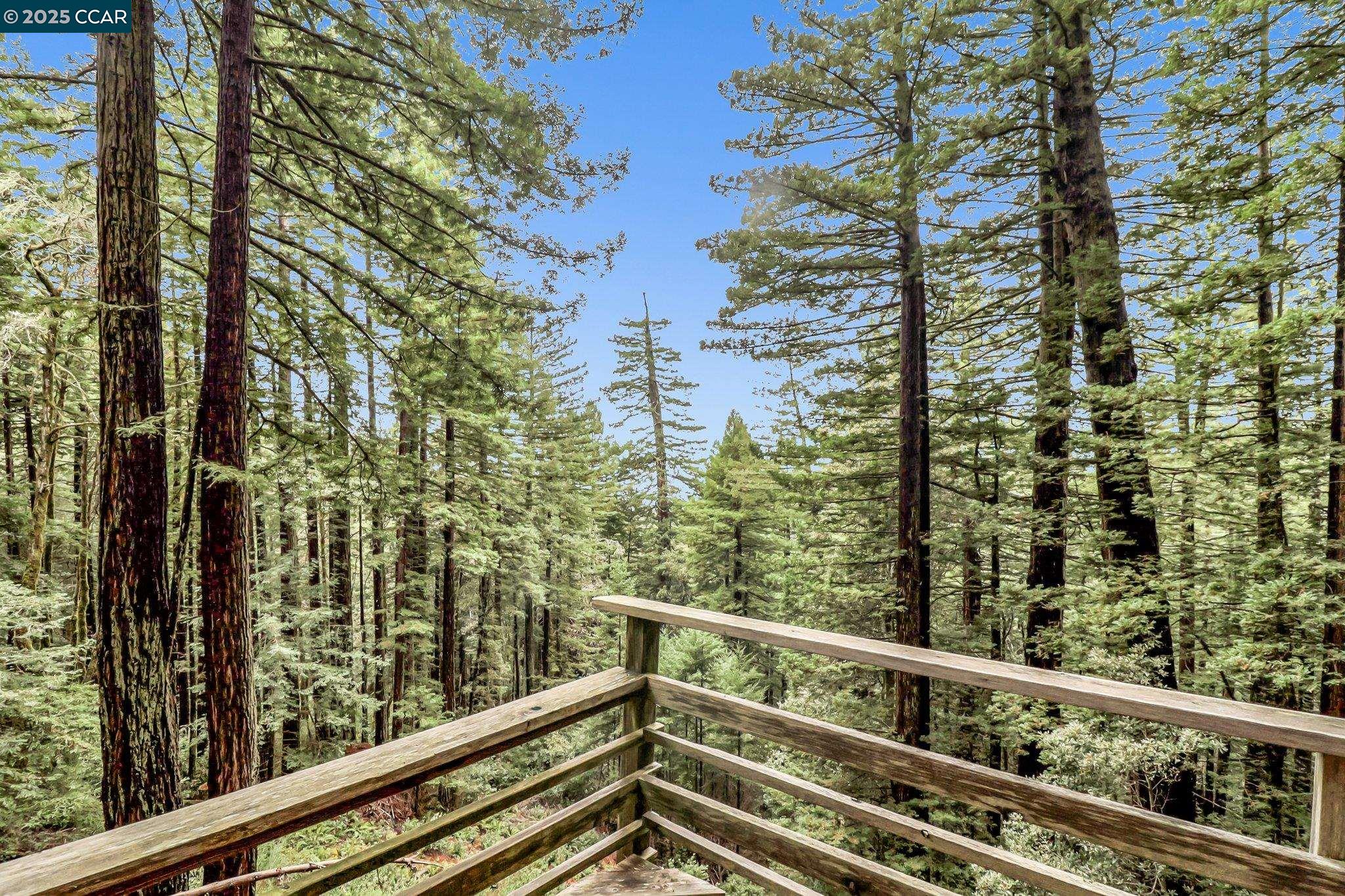 Detail Gallery Image 11 of 27 For 0 Old Comstock Road, Woodside,  CA 94062 - – Beds | – Baths
