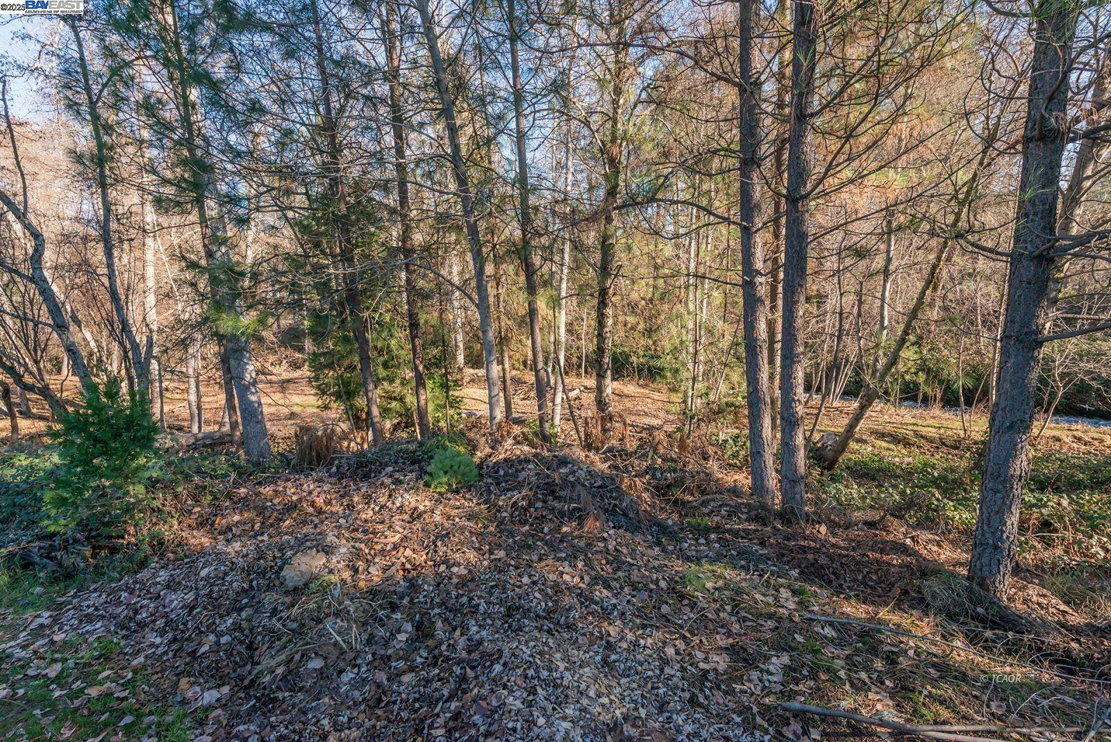 Detail Gallery Image 42 of 50 For 61 Browns Ranch Rd #3,  –,  CA 96093 - 3 Beds | 2 Baths
