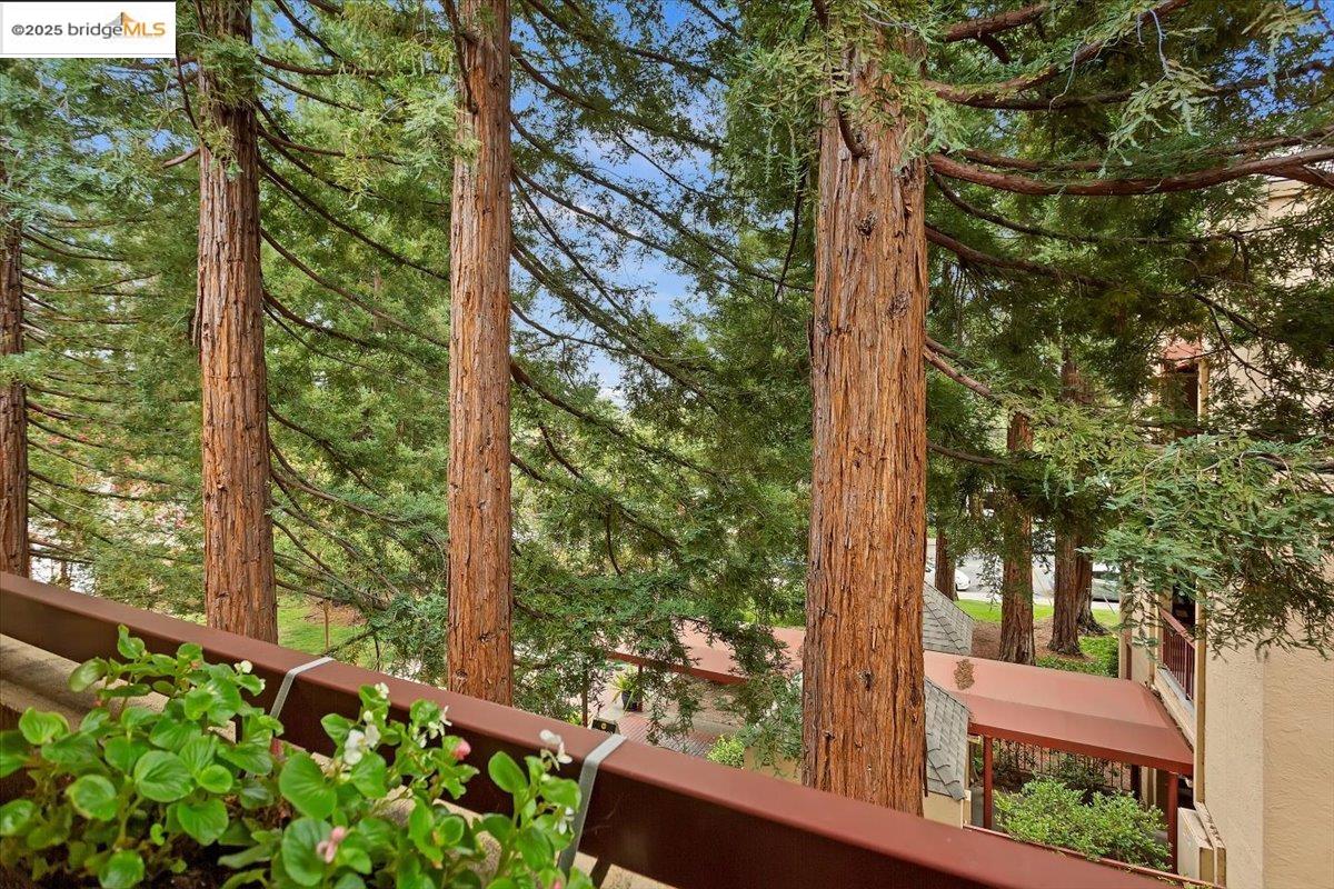 Photo #13: 41083982 Listing: Photo #13