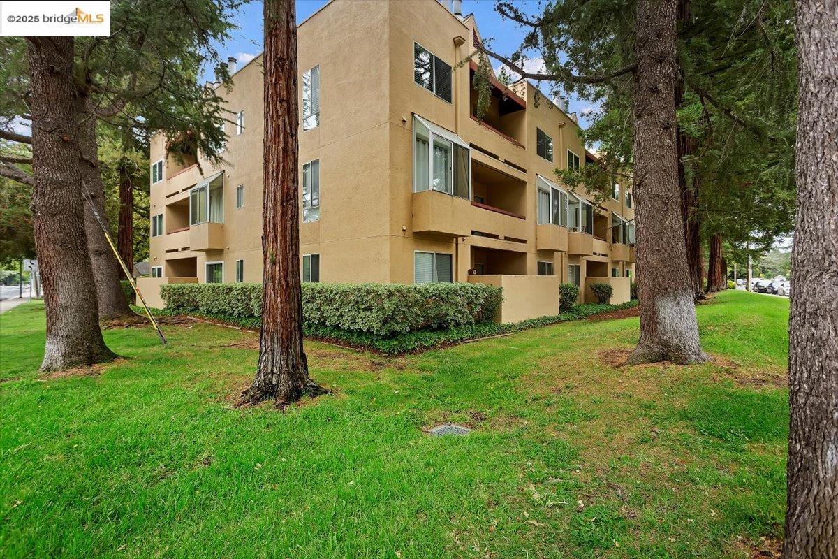 Photo #37: 41083982 Listing: Photo #37