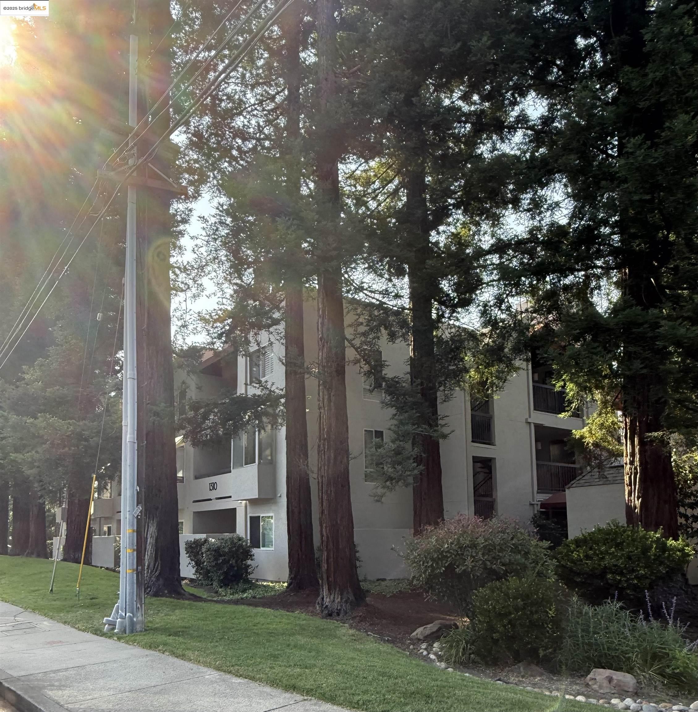 Photo #39: 41083982 Listing: Photo #39