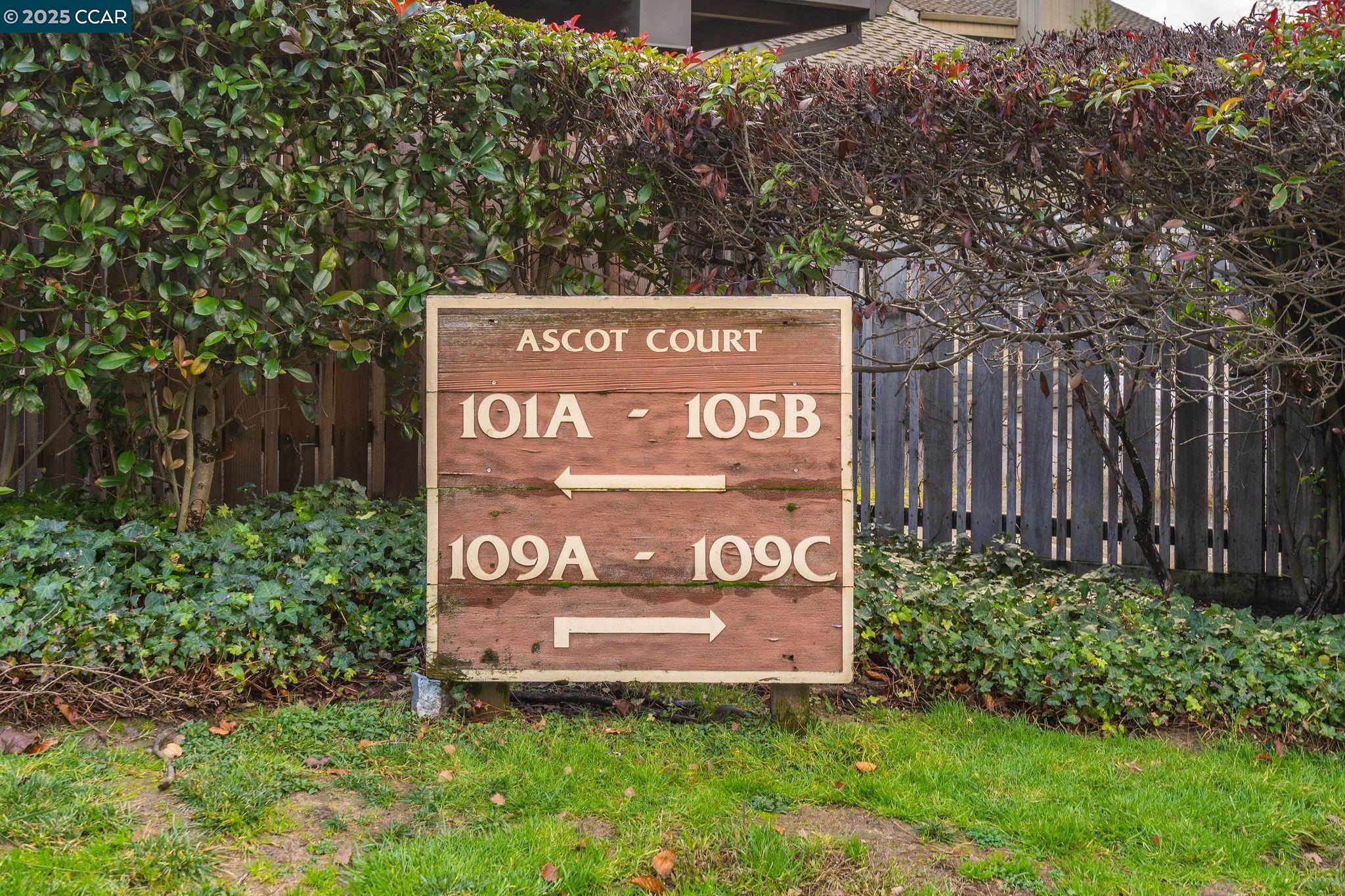Photo #36: 41084051 Listing: Photo #36