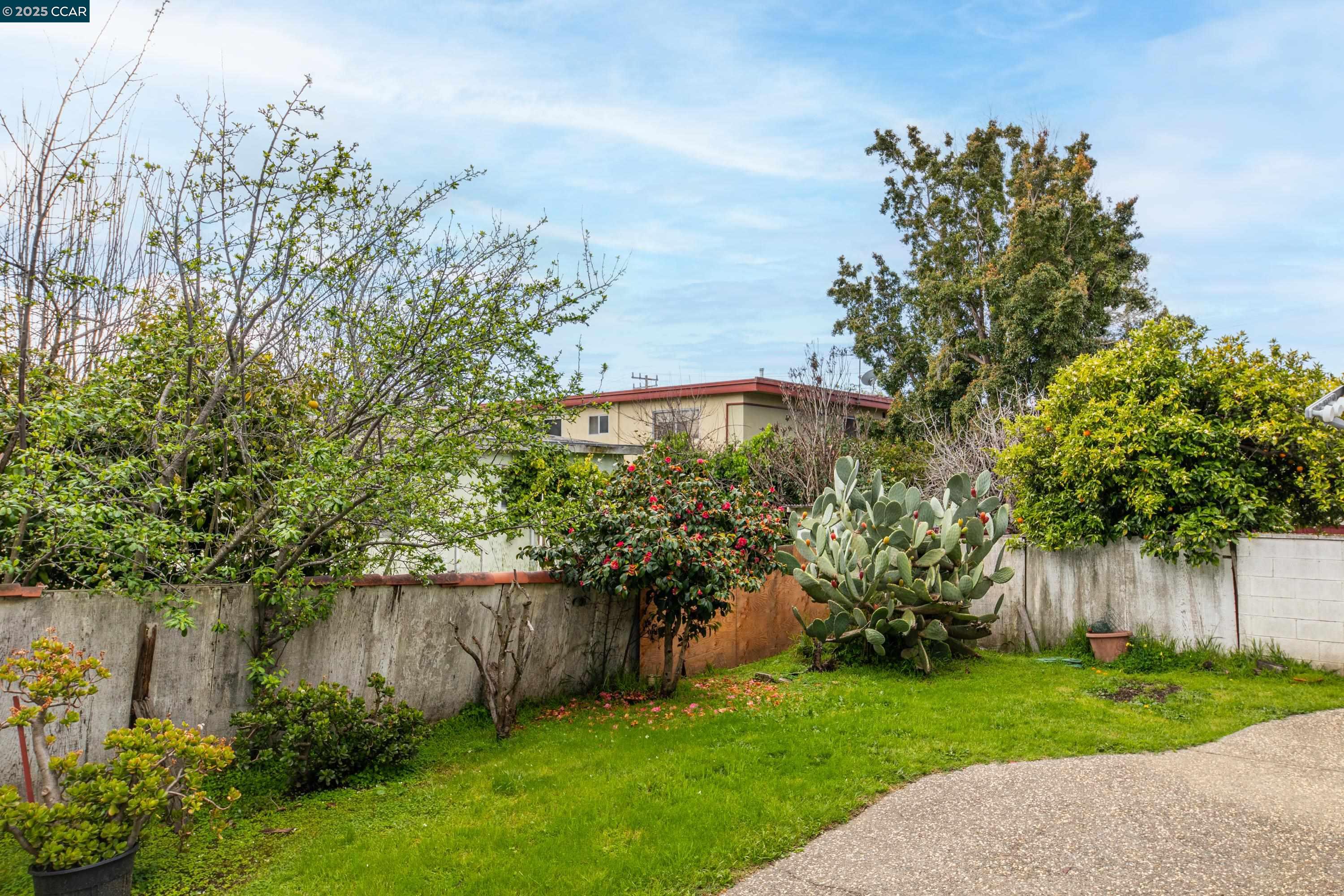 Photo #16: 41084135 Listing: Photo #16