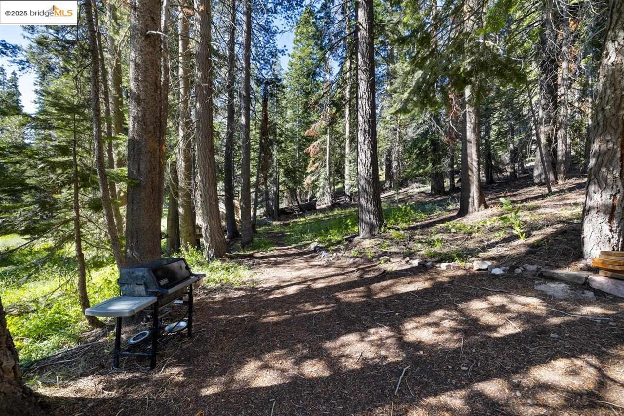 Detail Gallery Image 19 of 33 For 1 Eagle Meadow, Strawberry,  CA 95375 - 1 Beds | 1 Baths