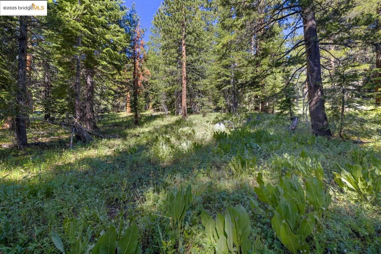 Detail Gallery Image 21 of 33 For 1 Eagle Meadow, Strawberry,  CA 95375 - 1 Beds | 1 Baths