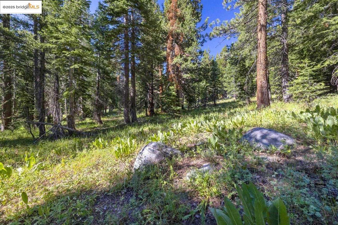 Detail Gallery Image 30 of 33 For 1 Eagle Meadow, Strawberry,  CA 95375 - 1 Beds | 1 Baths