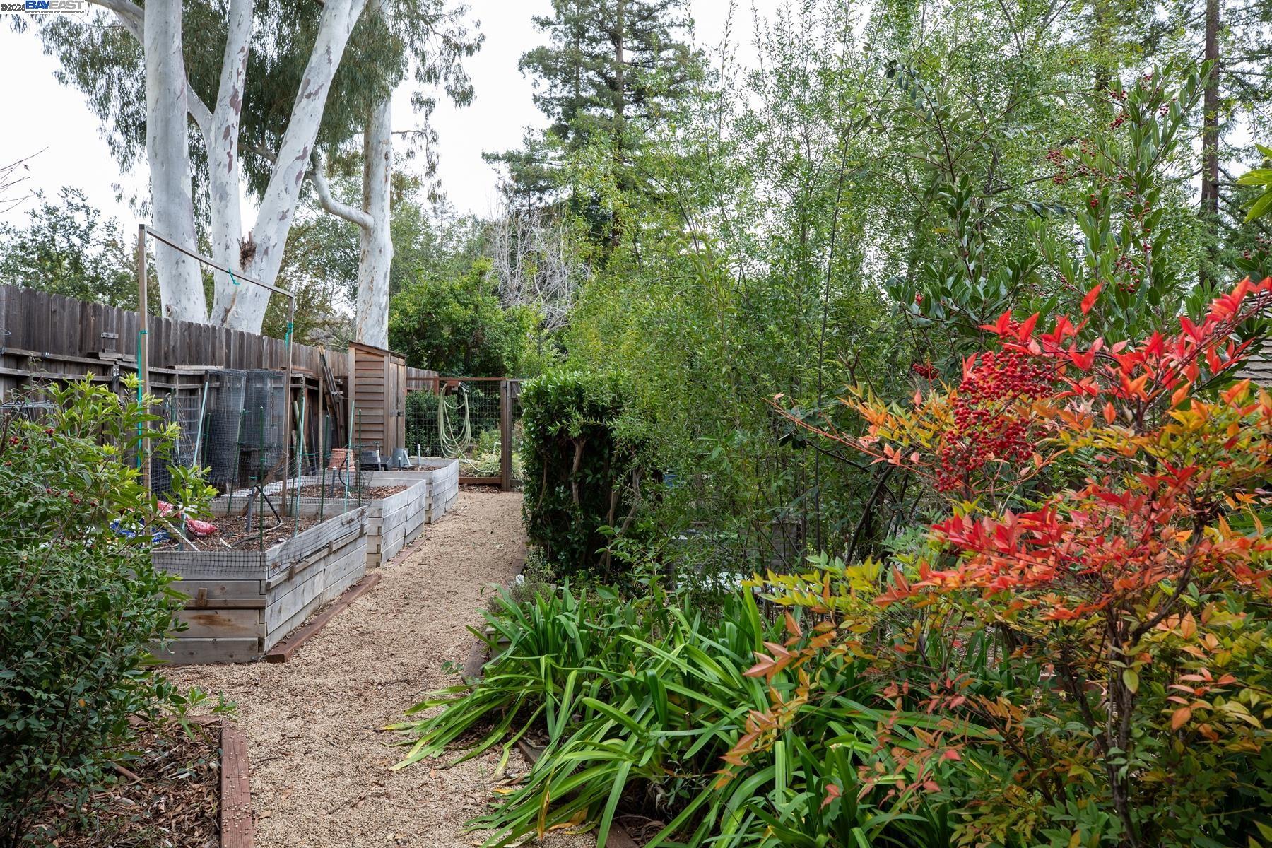 Detail Gallery Image 37 of 42 For 866 Tolman Dr, Stanford,  CA 94305 - 5 Beds | 3 Baths