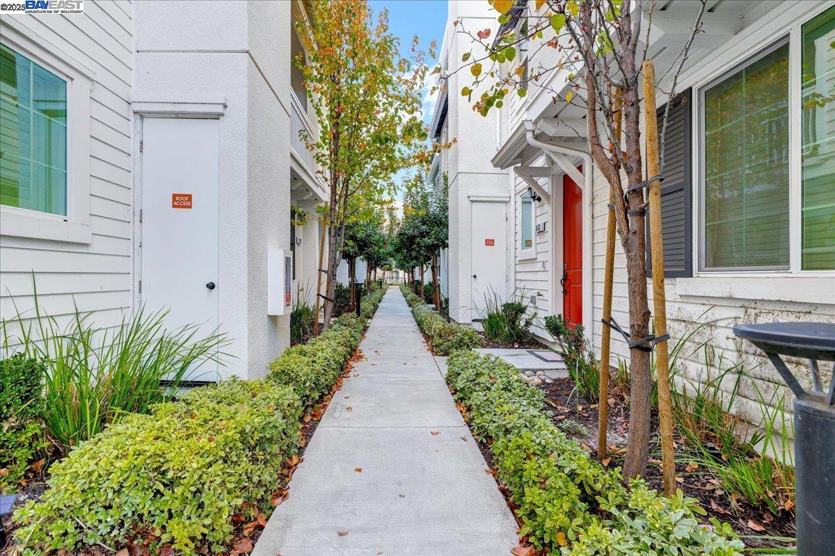Detail Gallery Image 21 of 48 For 337 Wild Rose Way, Milpitas,  CA 95035 - 4 Beds | 3/1 Baths