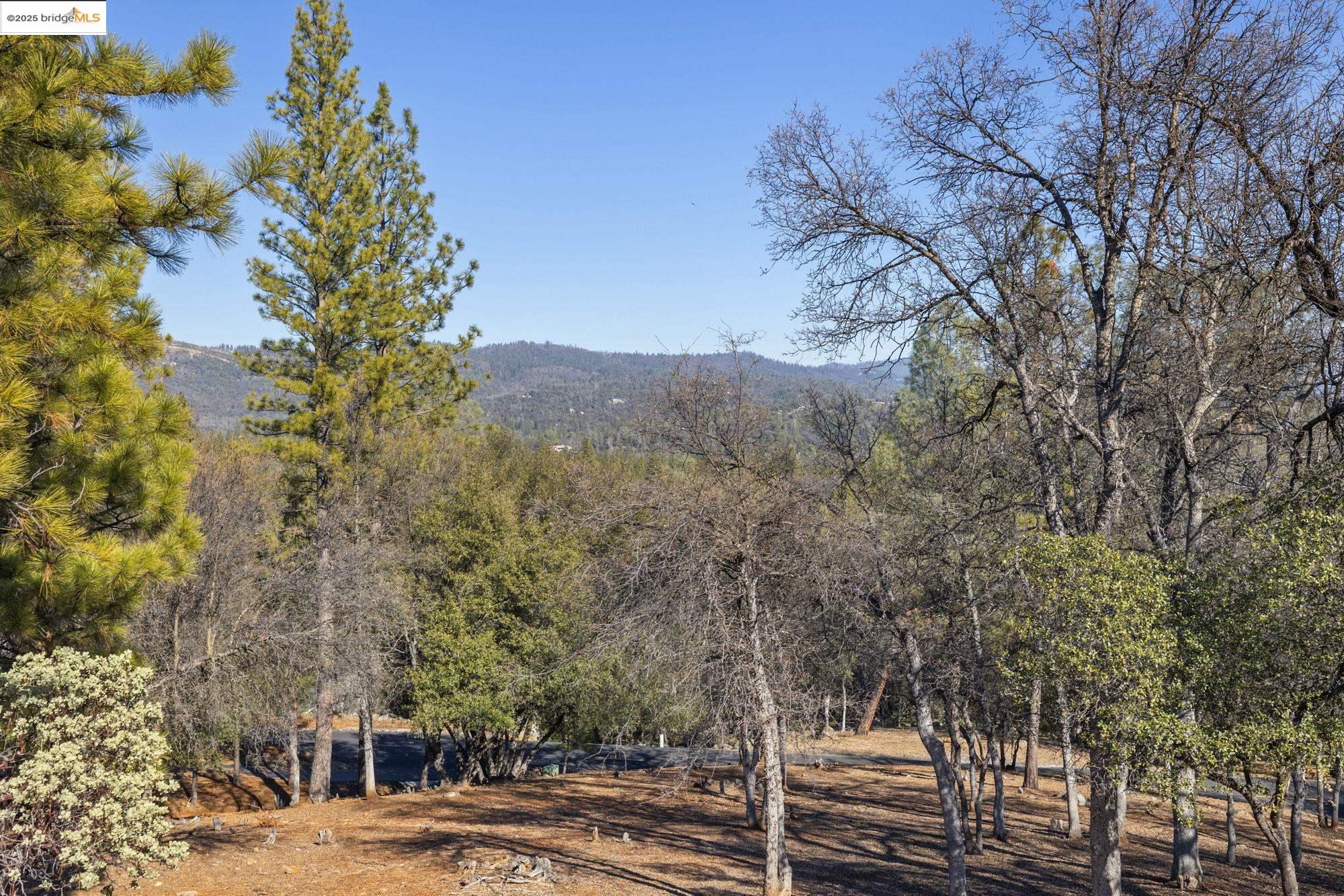 Detail Gallery Image 51 of 59 For 14186 Stanton Cir, Sonora,  CA 95370 - 3 Beds | 2/1 Baths