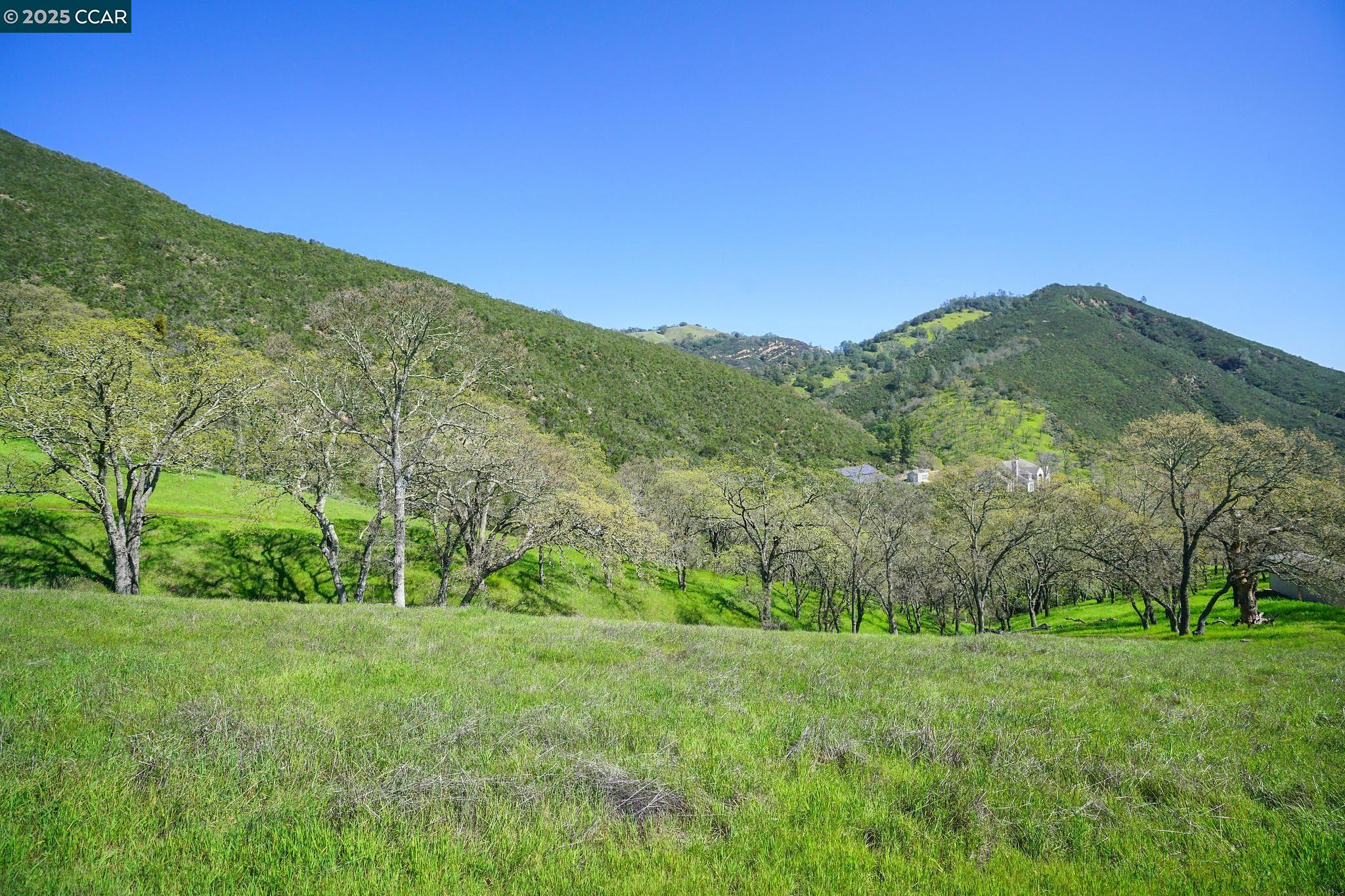 Detail Gallery Image 2 of 16 For 2415 Diablo Lakes Ln, Diablo,  CA 94528 - – Beds | – Baths
