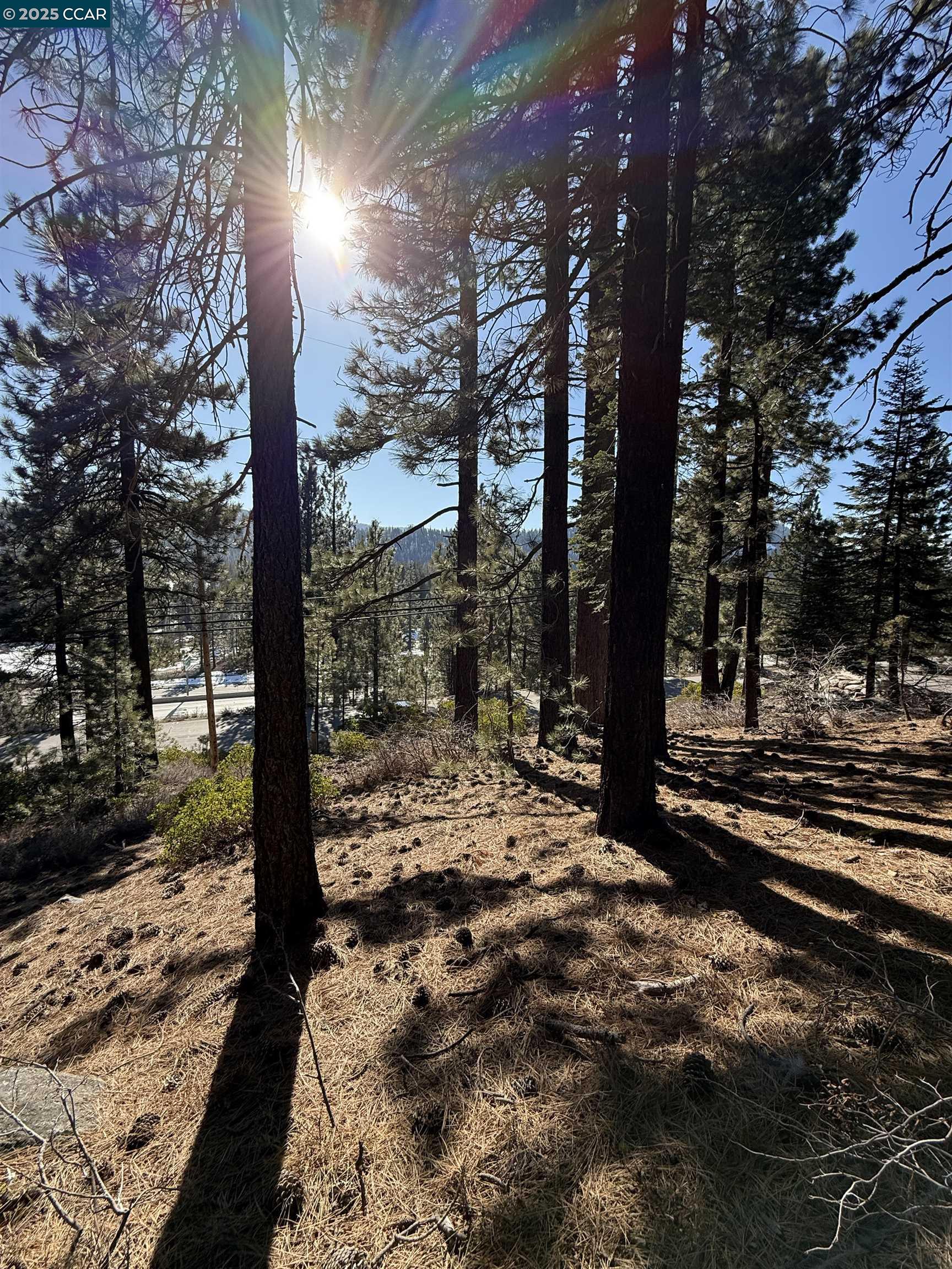 Detail Gallery Image 3 of 9 For 12442 Richards Blvd, Truckee,  CA 96161-5020 - – Beds | – Baths