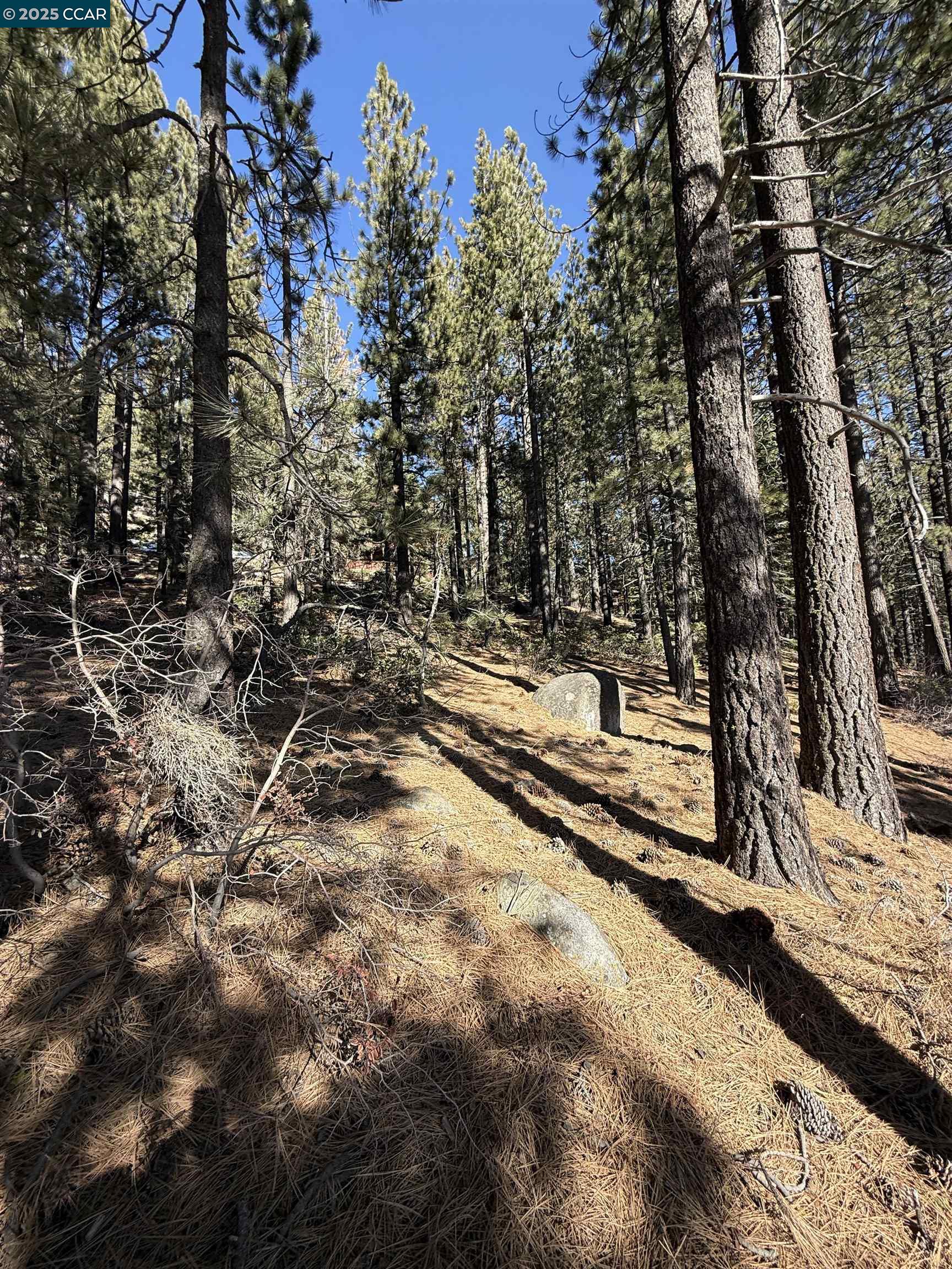 Detail Gallery Image 4 of 9 For 12442 Richards Blvd, Truckee,  CA 96161-5020 - – Beds | – Baths
