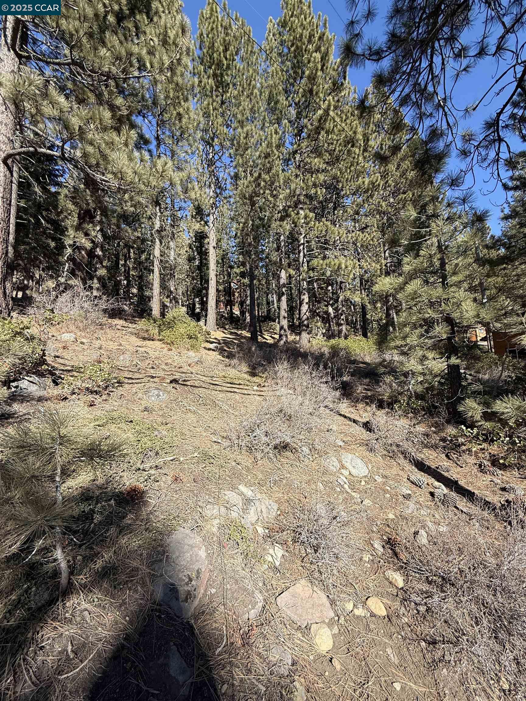 Detail Gallery Image 5 of 9 For 12442 Richards Blvd, Truckee,  CA 96161-5020 - – Beds | – Baths