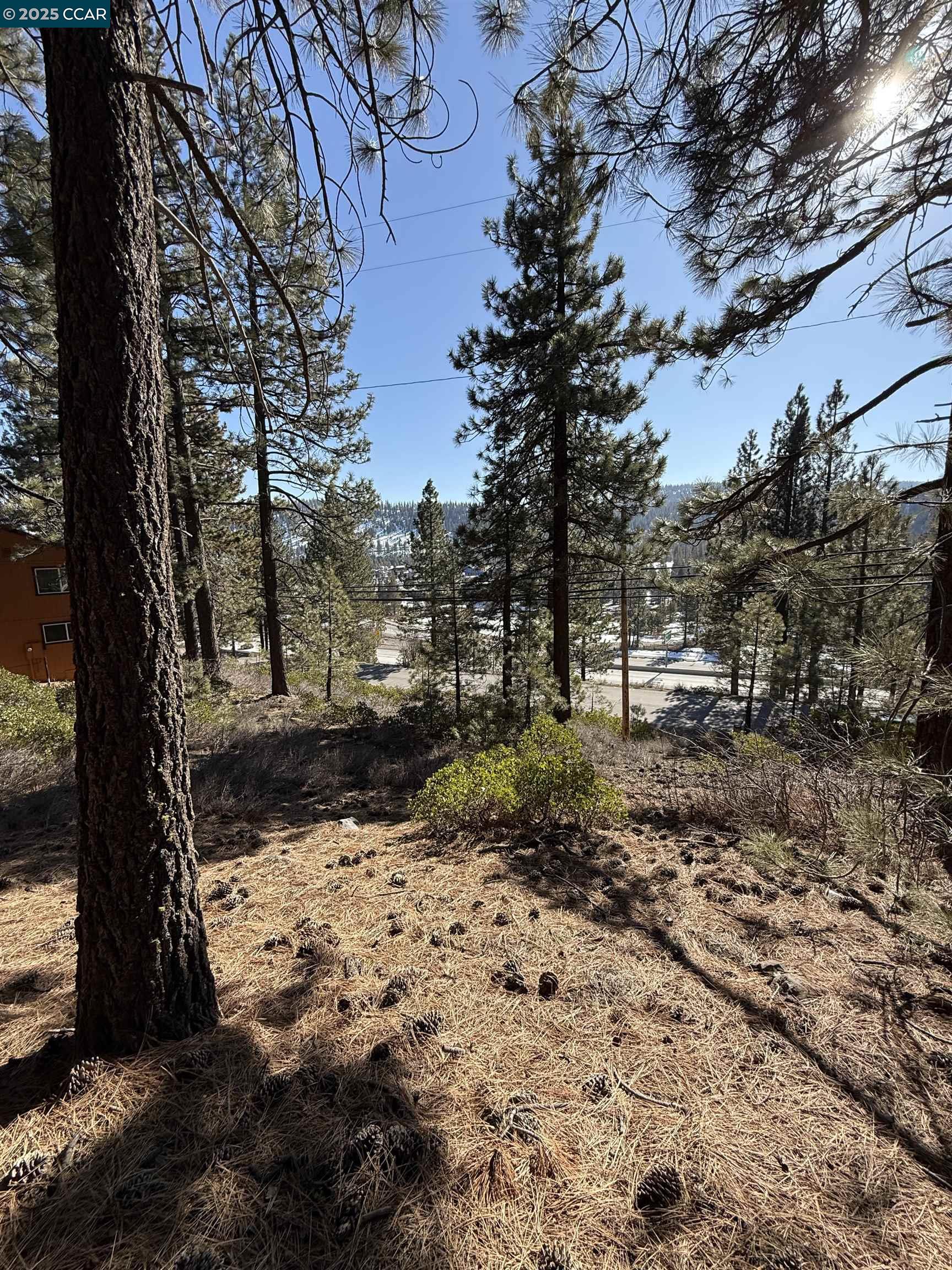 Detail Gallery Image 6 of 9 For 12442 Richards Blvd, Truckee,  CA 96161-5020 - – Beds | – Baths