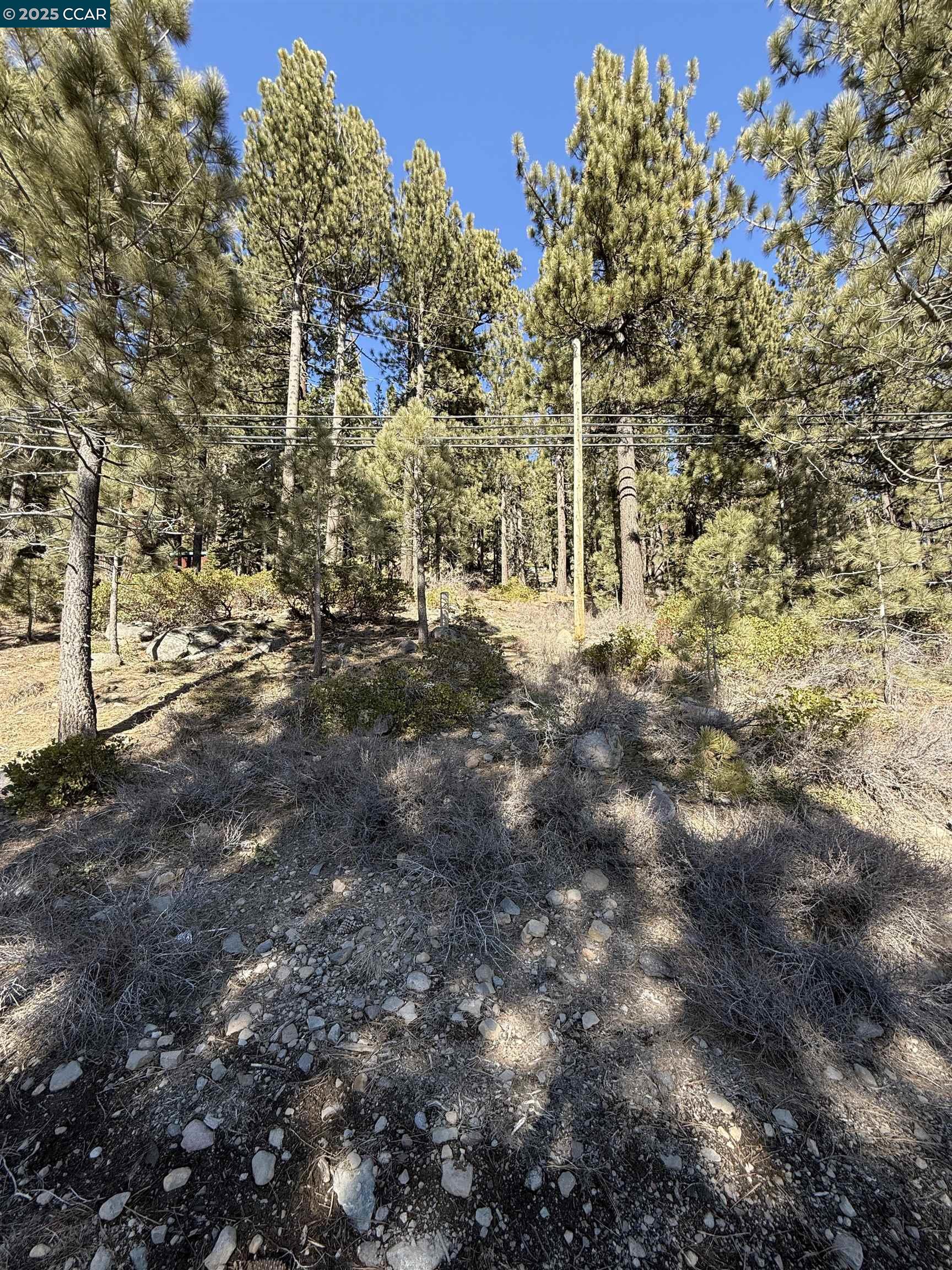 Detail Gallery Image 7 of 9 For 12442 Richards Blvd, Truckee,  CA 96161-5020 - – Beds | – Baths