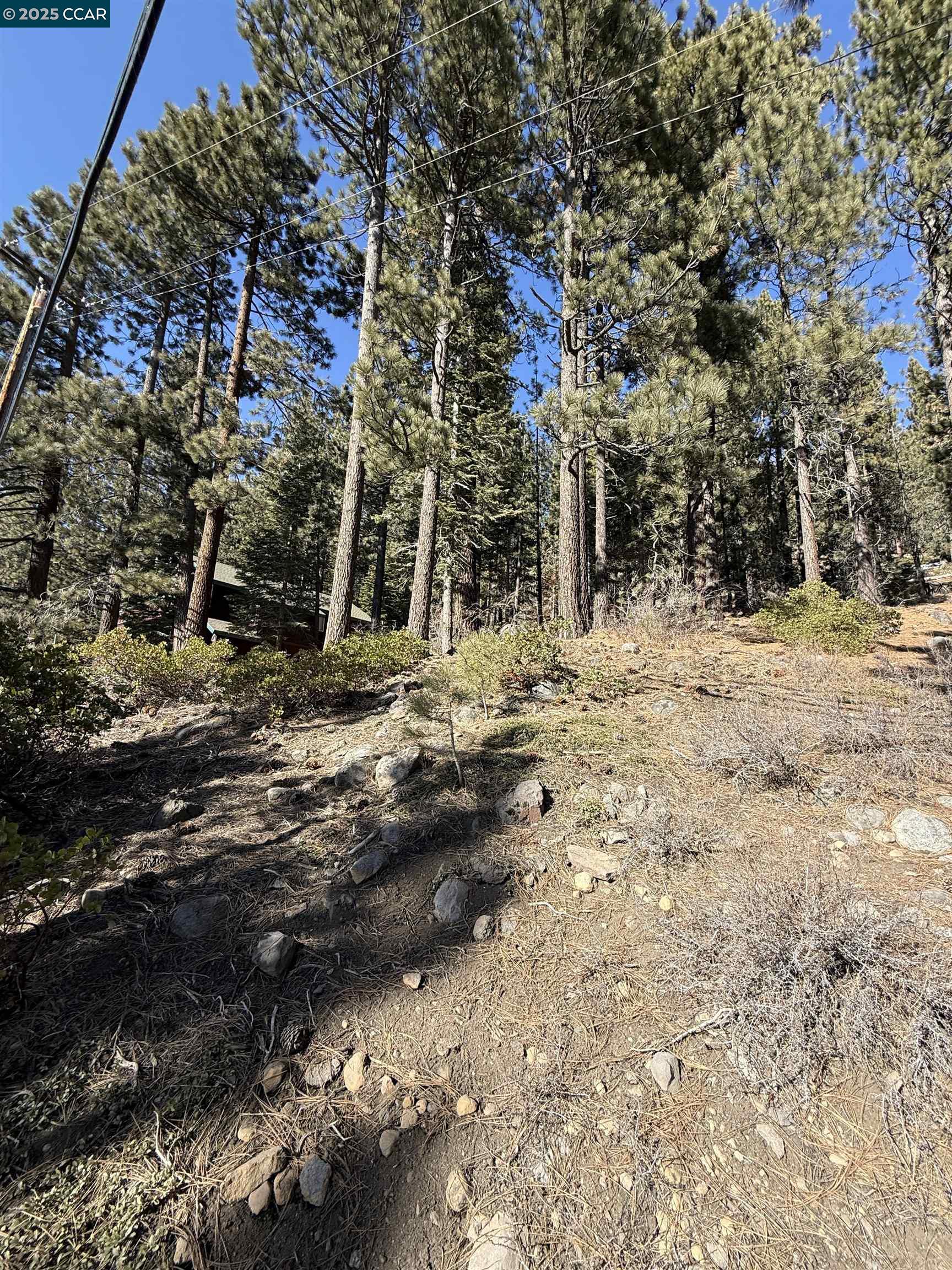 Detail Gallery Image 8 of 9 For 12442 Richards Blvd, Truckee,  CA 96161-5020 - – Beds | – Baths