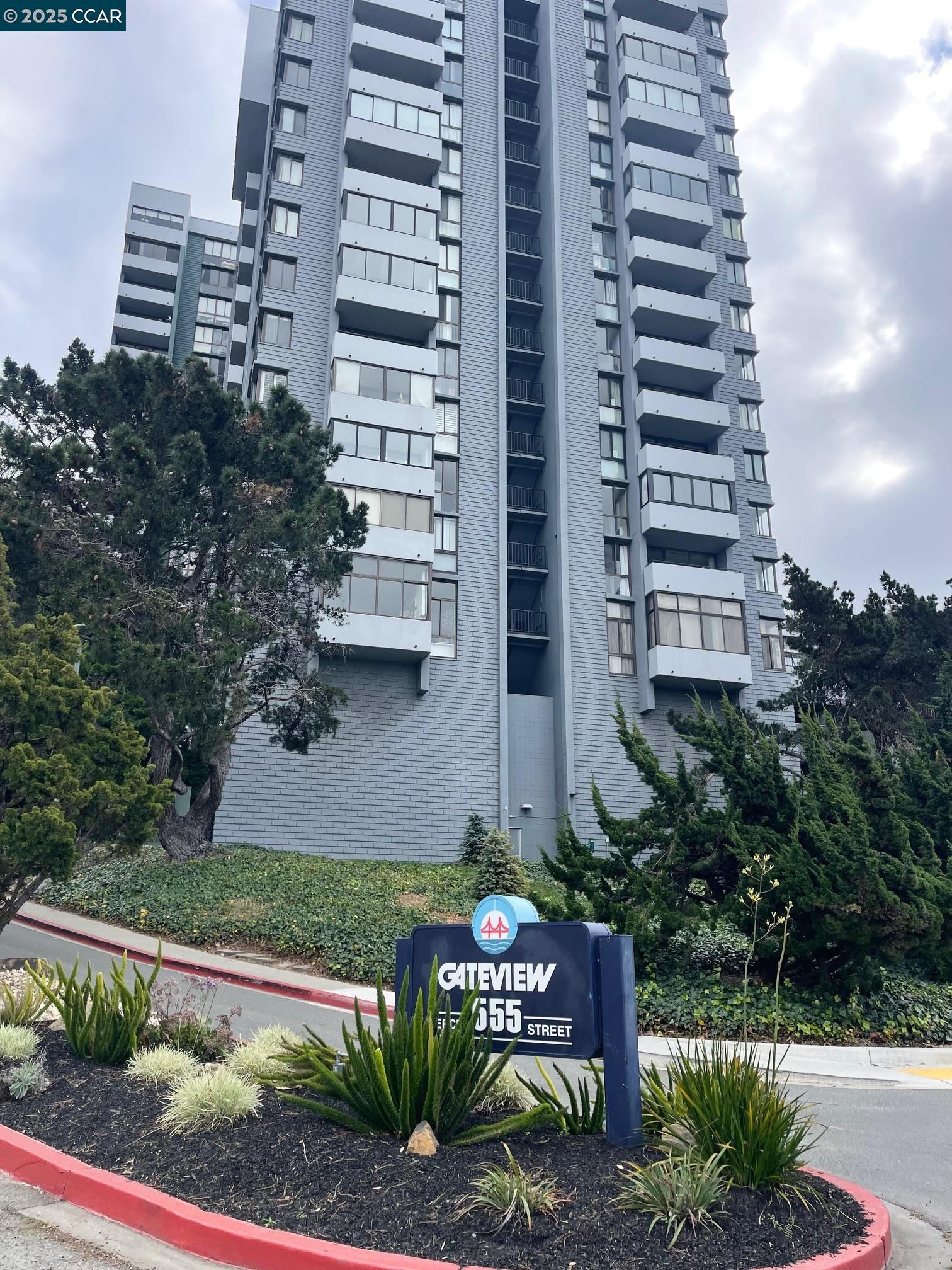 Detail Gallery Image 1 of 1 For 555 Pierce St #1432,  Albany,  CA 94706 - 1 Beds | 1 Baths