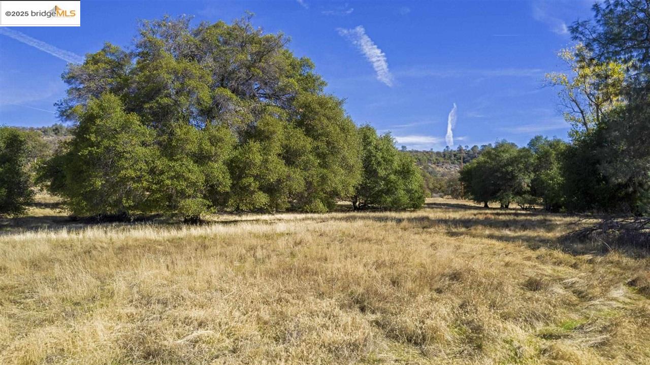Detail Gallery Image 1 of 27 For 16275 Moccasin Ranch Parcel 29, La Grange,  CA 95329 - – Beds | – Baths