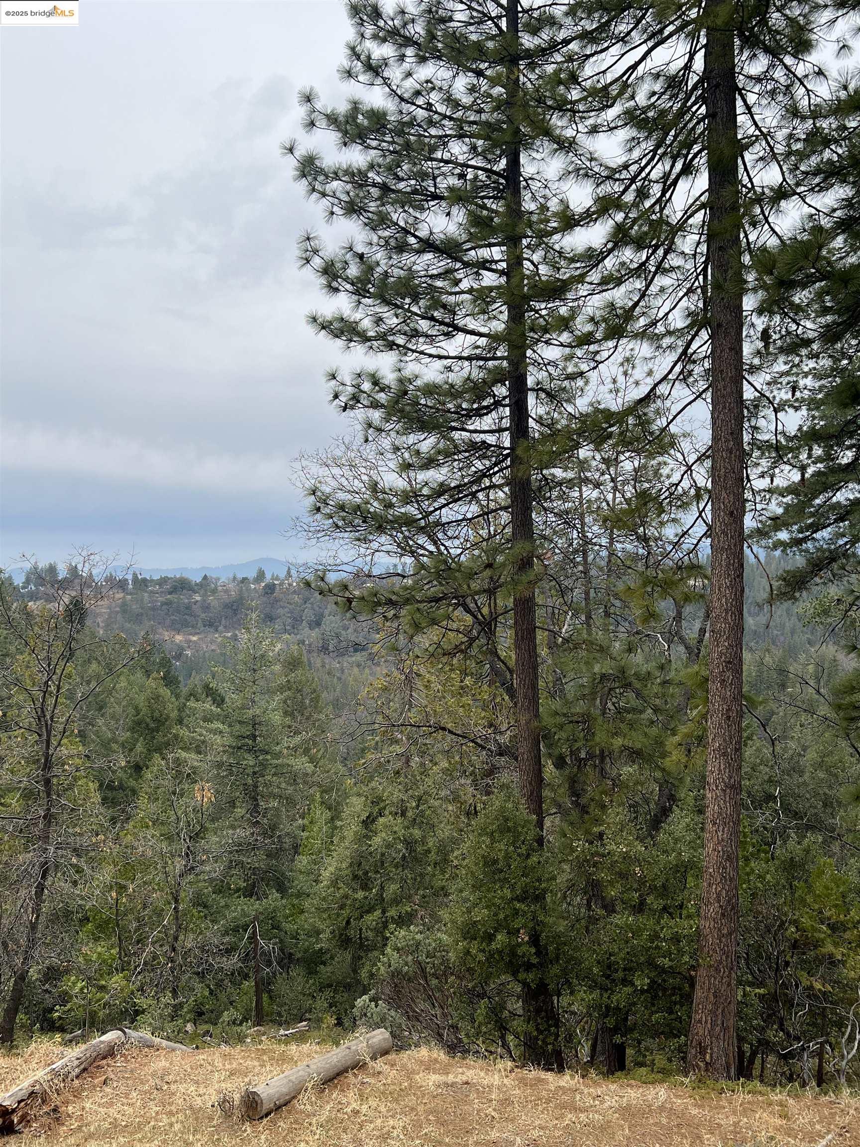 Detail Gallery Image 2 of 12 For 19262 Tanglewood Trl., Twain Harte,  CA 95383 - – Beds | – Baths