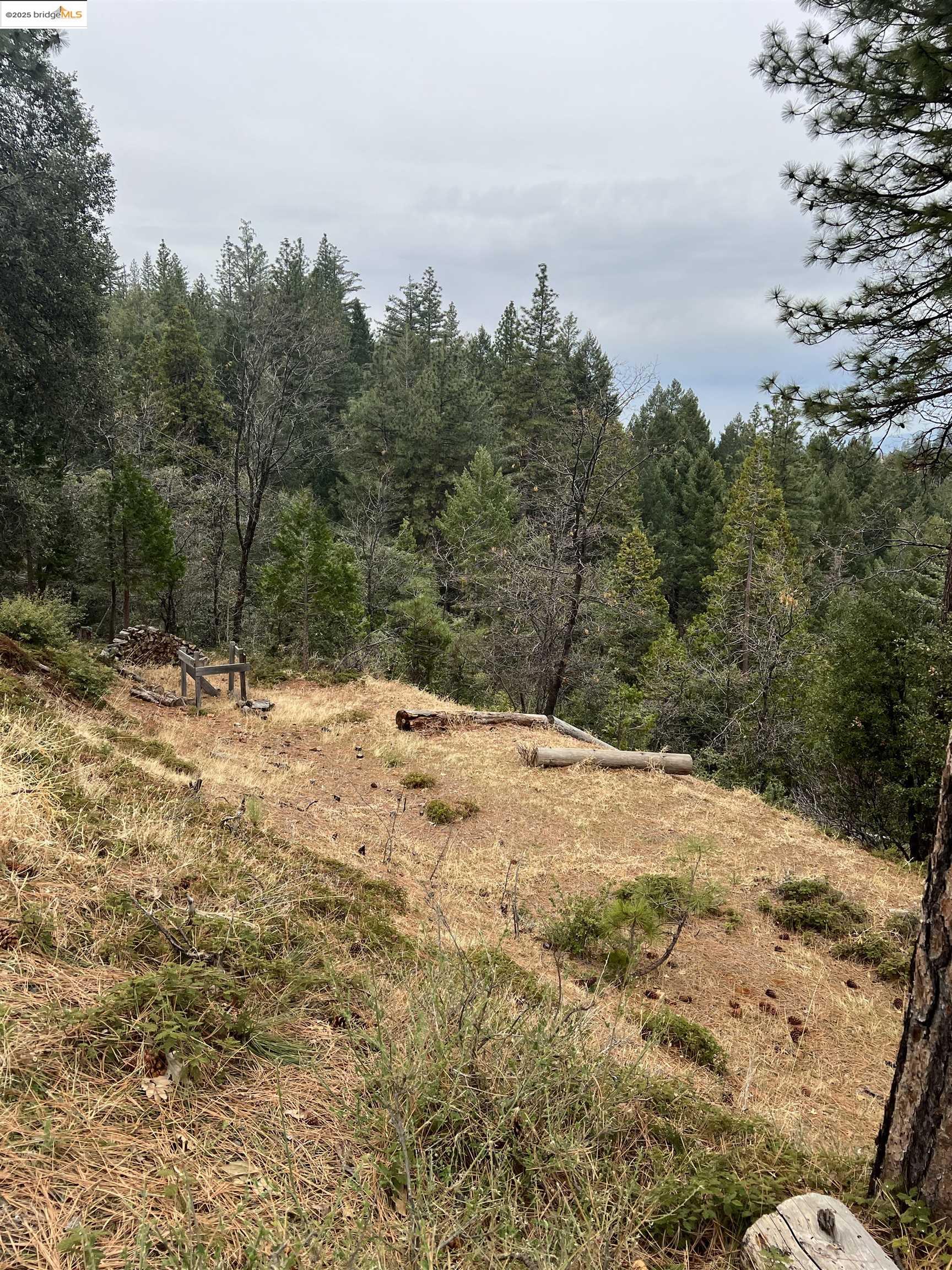 Detail Gallery Image 4 of 12 For 19262 Tanglewood Trl., Twain Harte,  CA 95383 - – Beds | – Baths