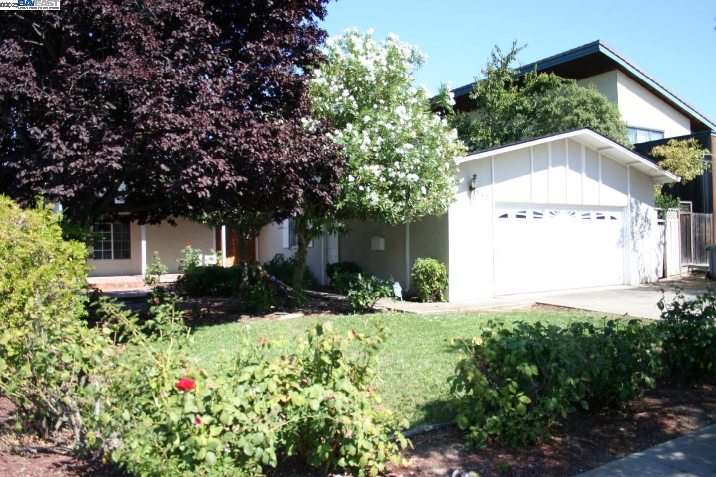 Detail Gallery Image 1 of 22 For 842 S Blaney Ave, Cupertino,  CA 95014 - 3 Beds | 2 Baths