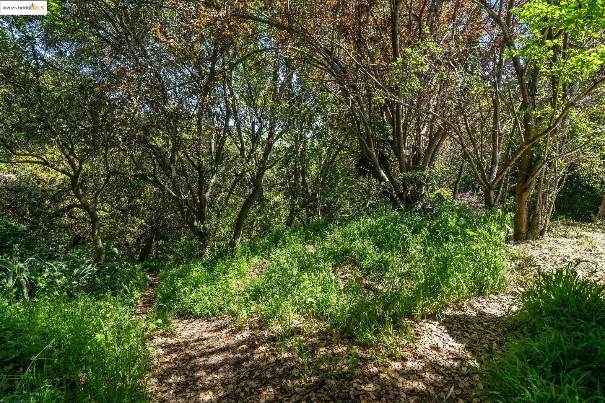 Detail Gallery Image 29 of 53 For 0 Fairview Ave, Richmond,  CA 94805 - – Beds | – Baths