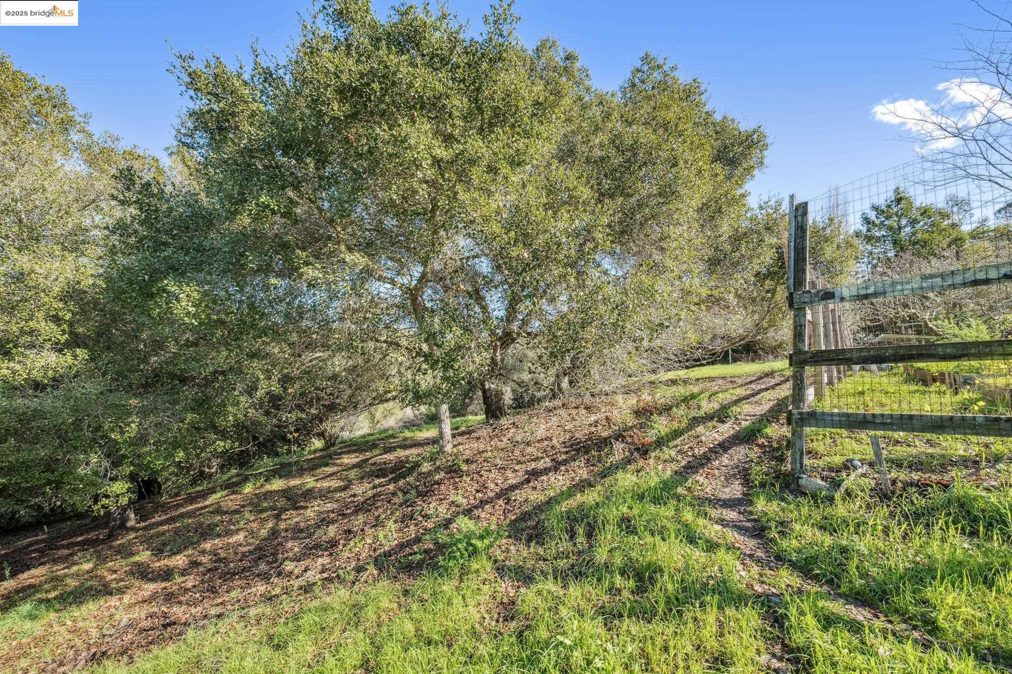 Detail Gallery Image 7 of 53 For 0 Fairview Ave, Richmond,  CA 94805 - – Beds | – Baths